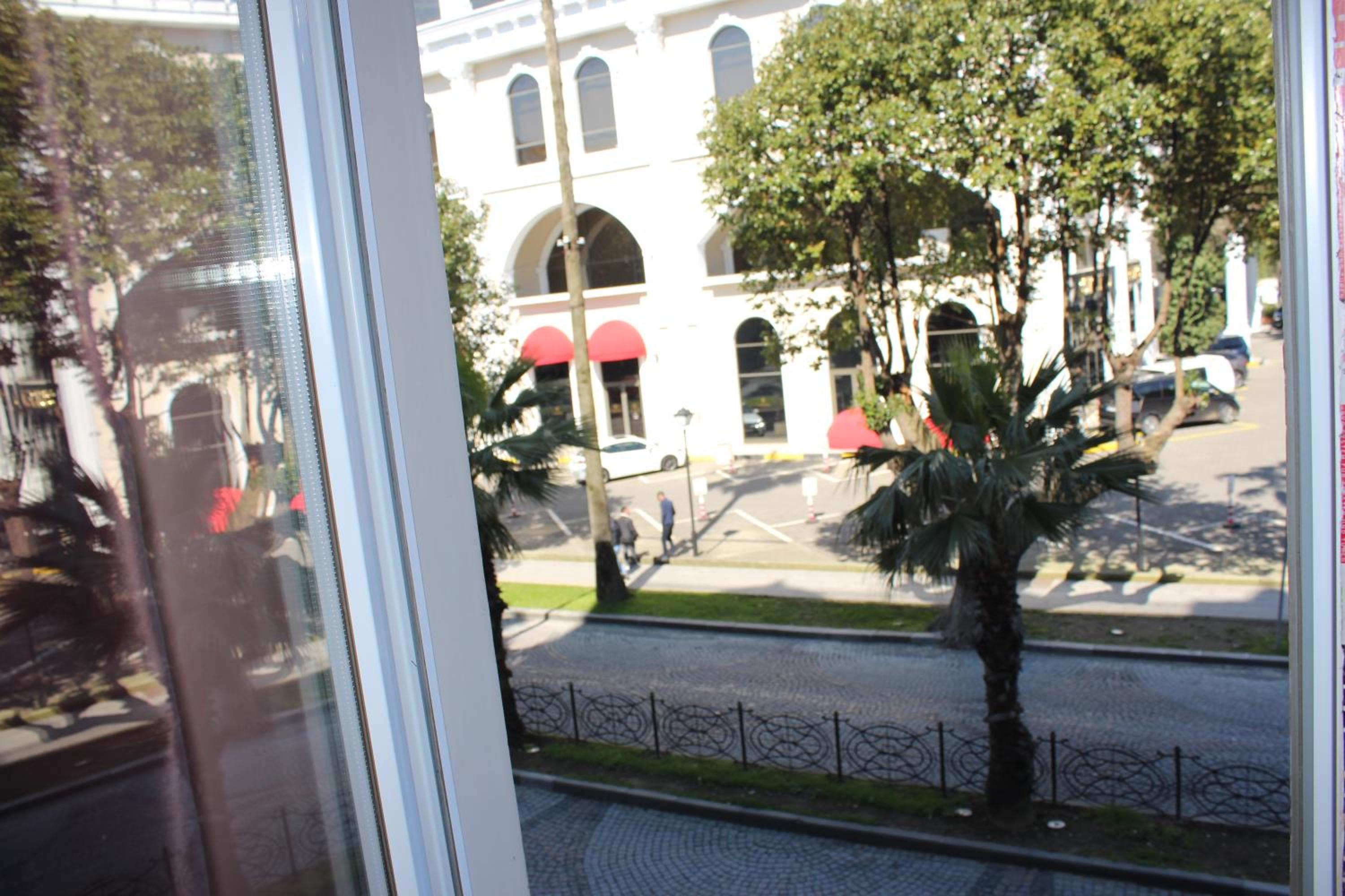Photo 43