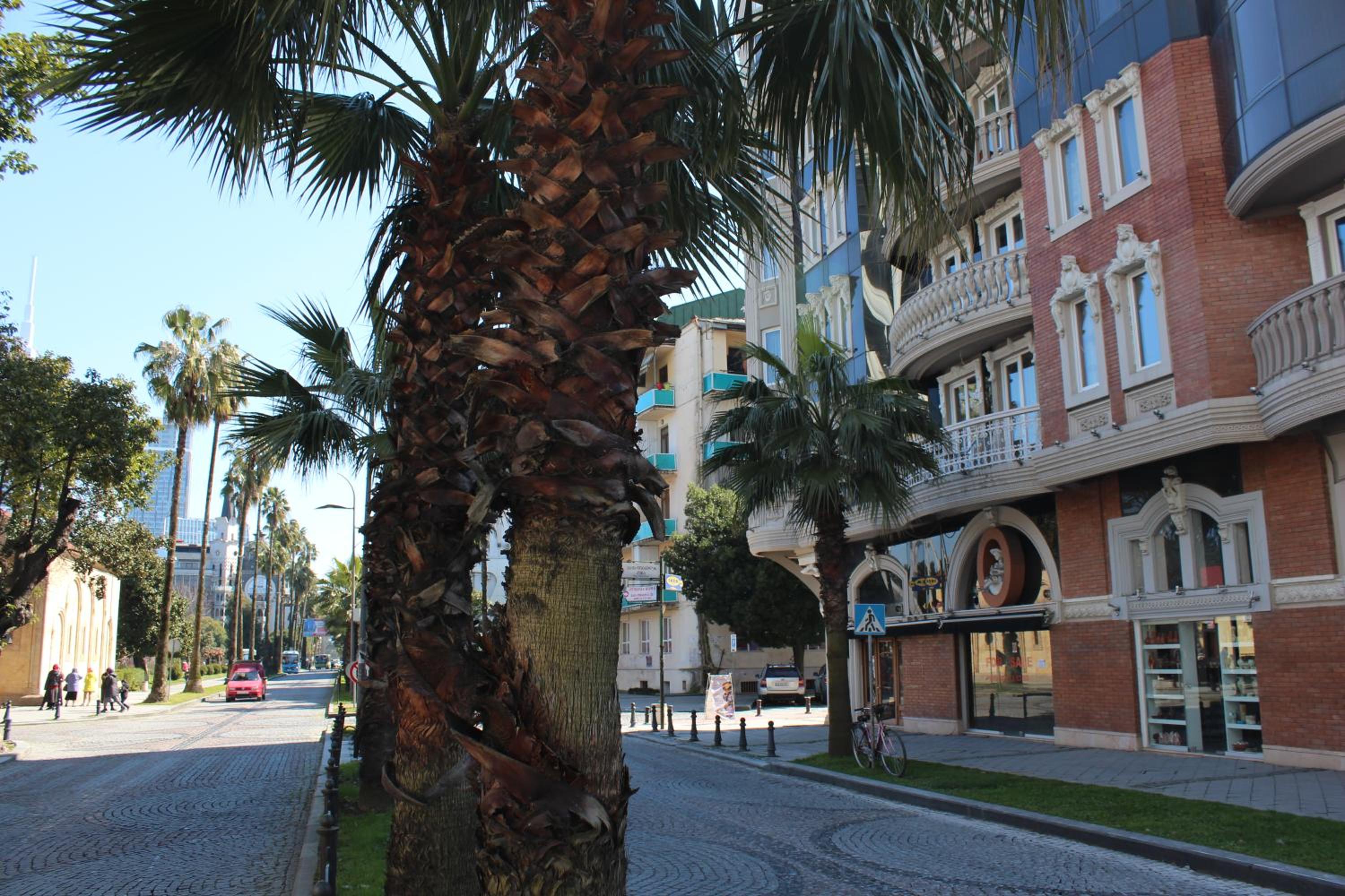 Batumi apartment in front of Sheraton view 5