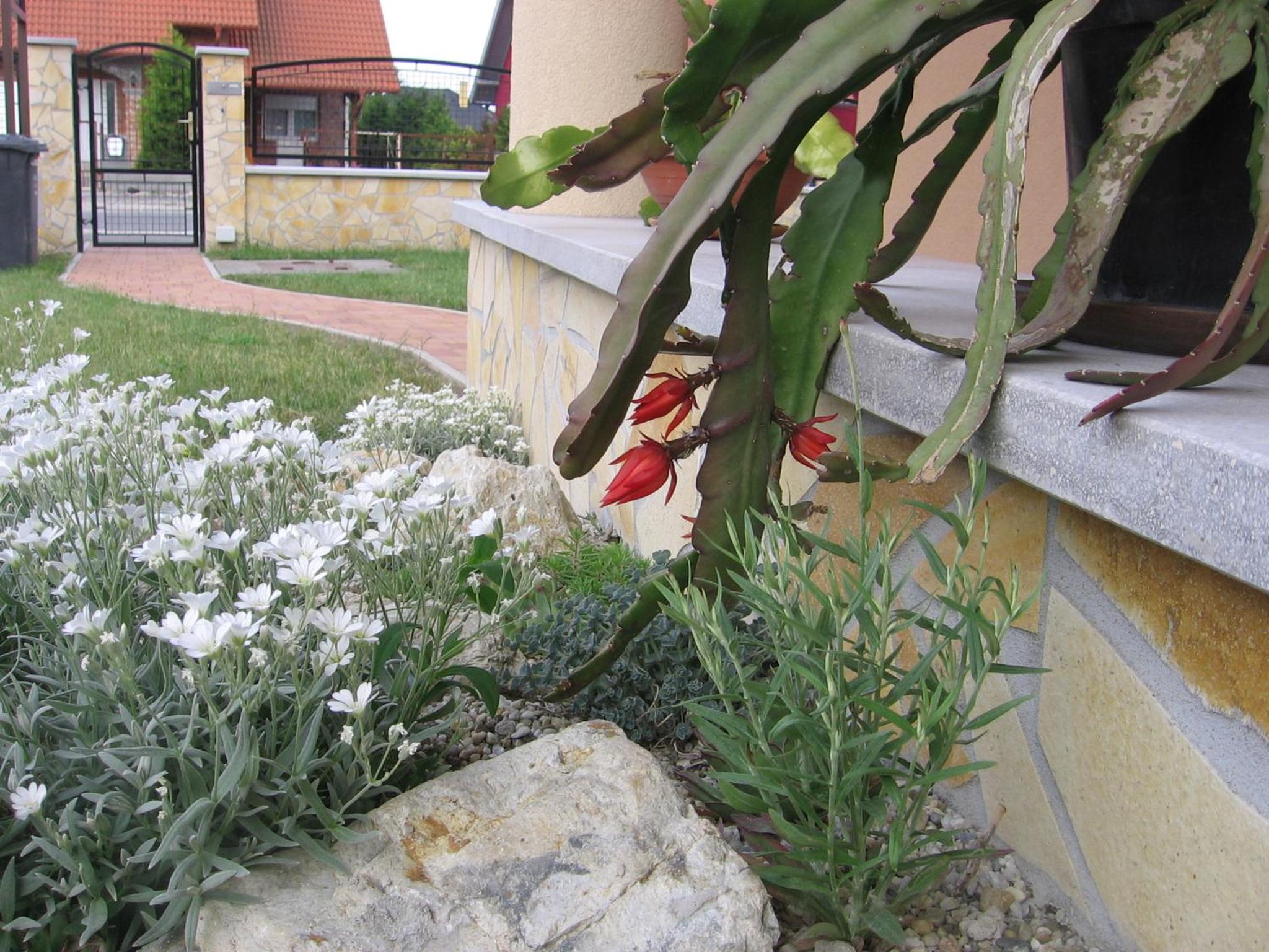 Photo 29