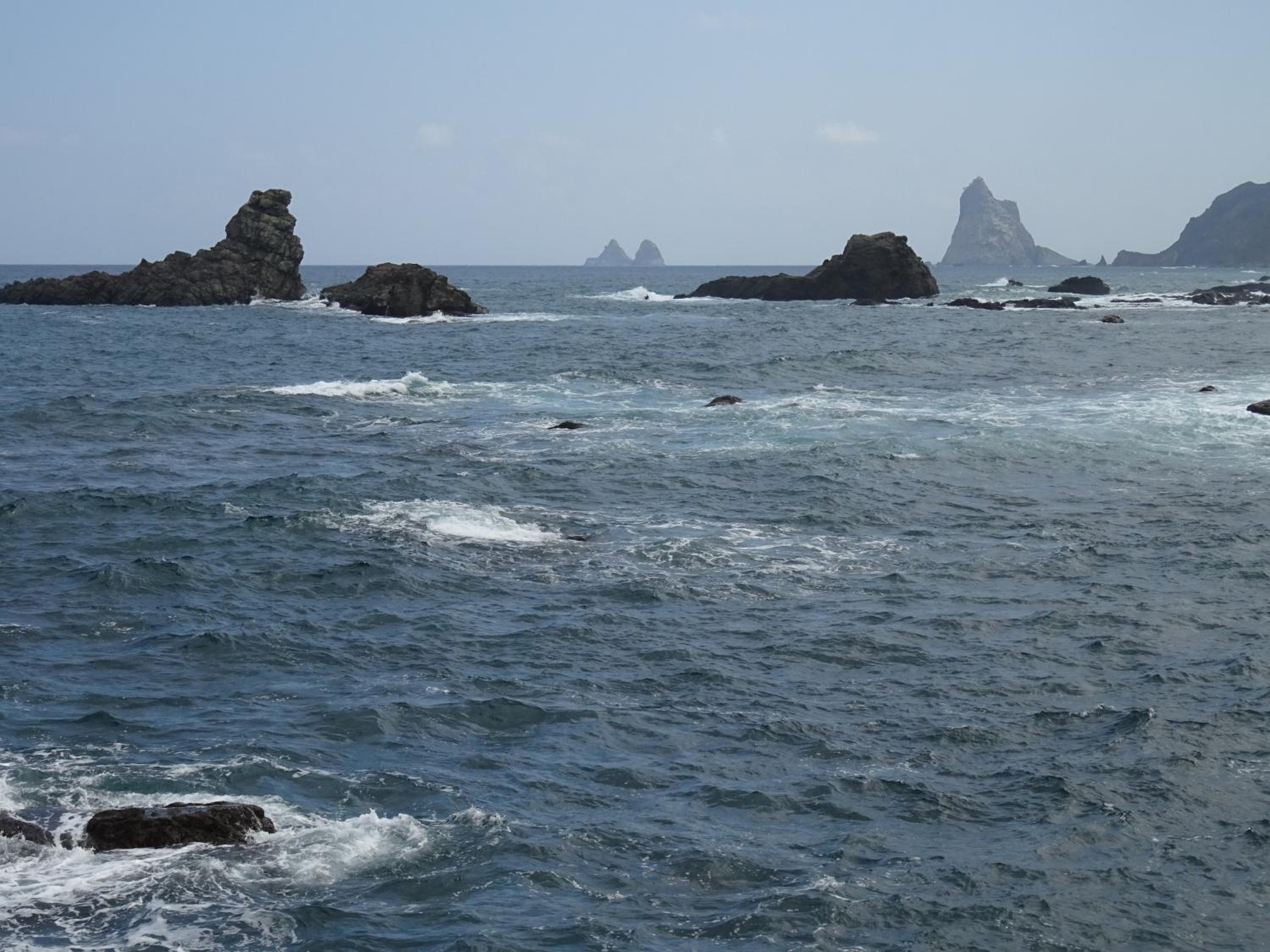 Photo 44