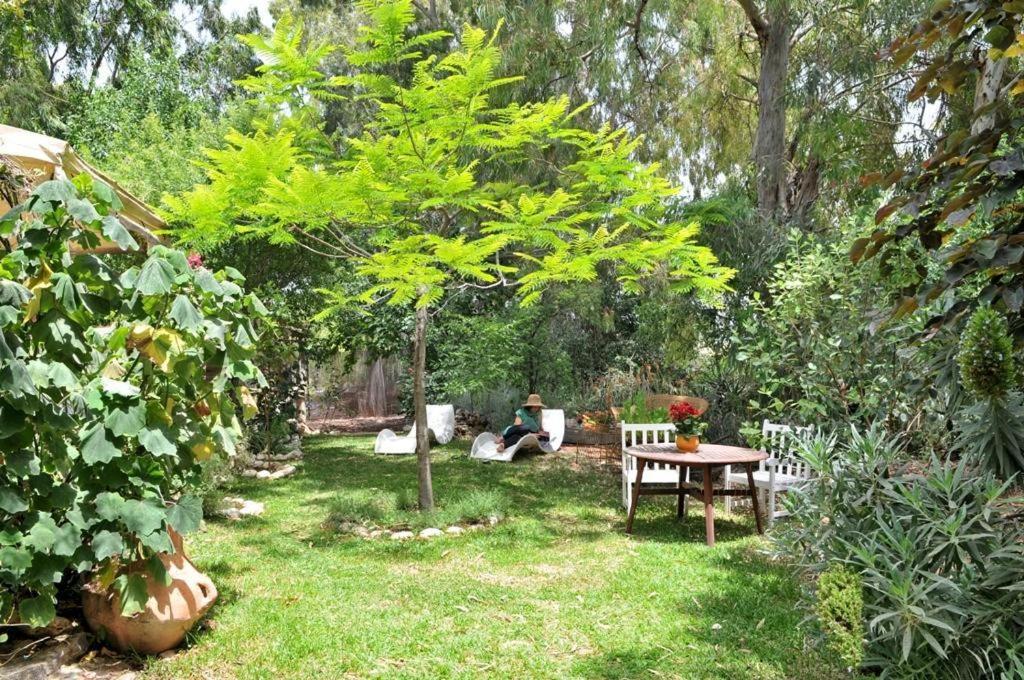 Pina Balev Inn
