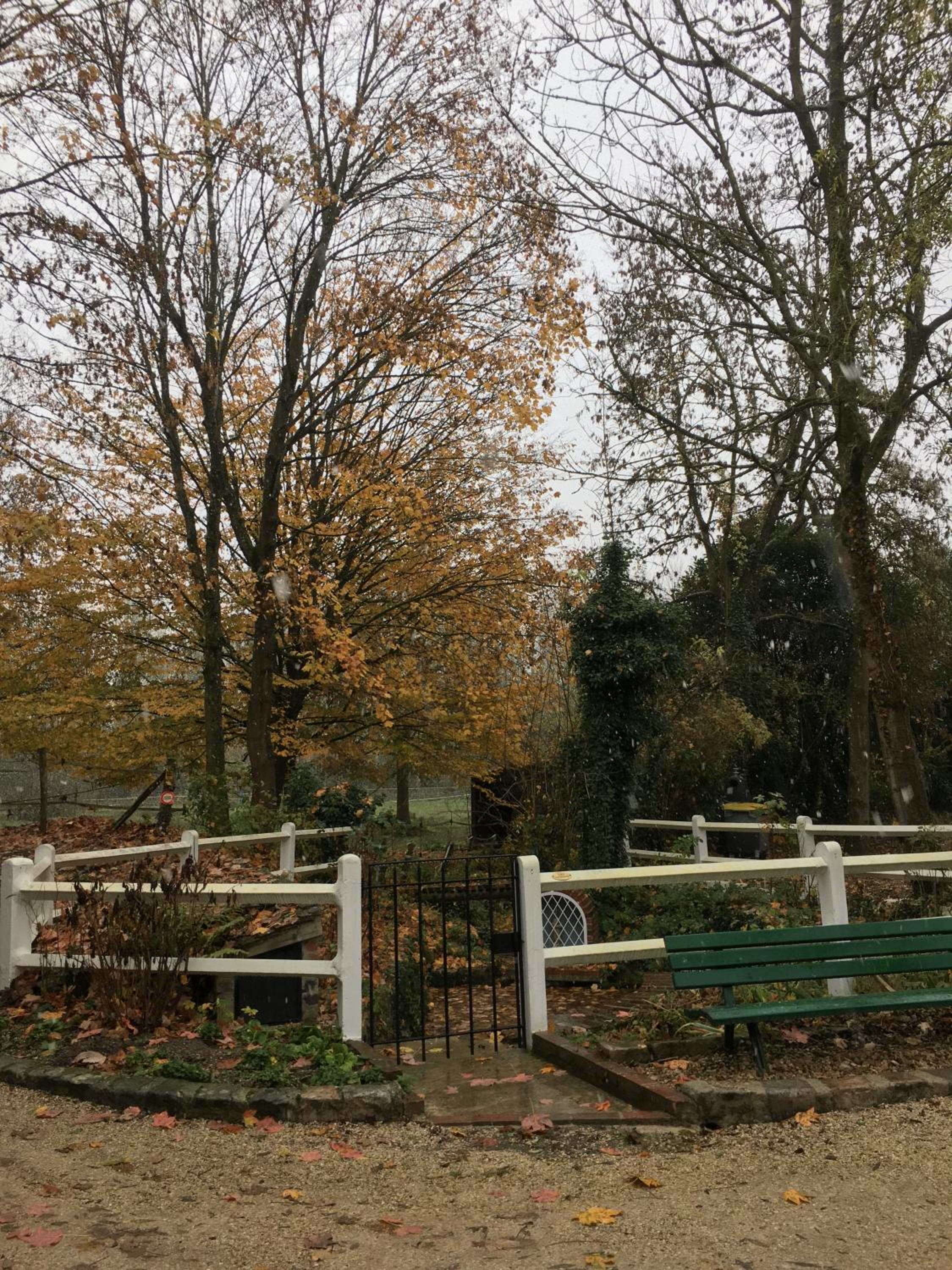 Photo 18