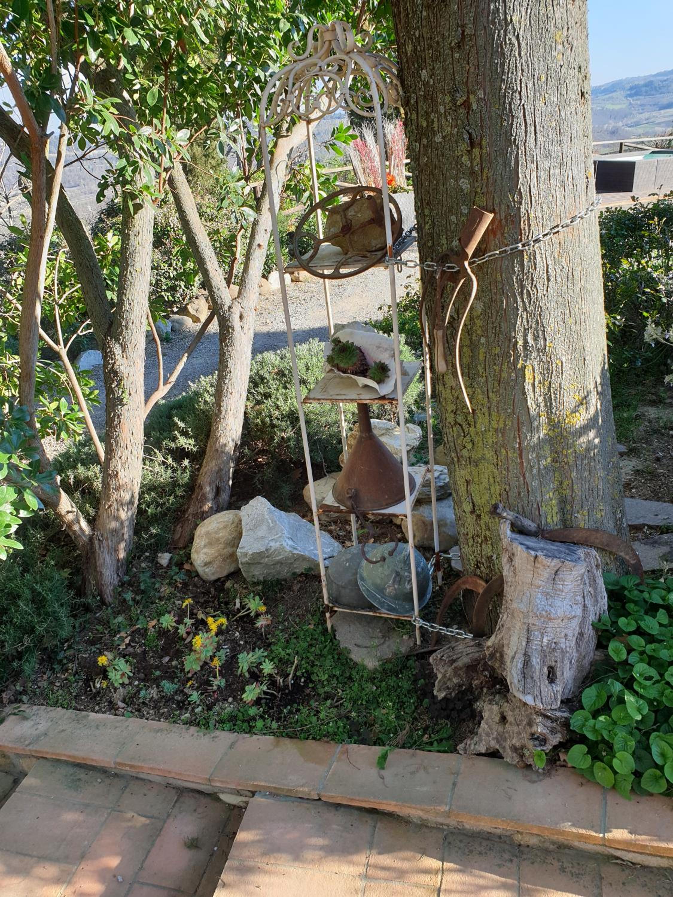 Photo 7