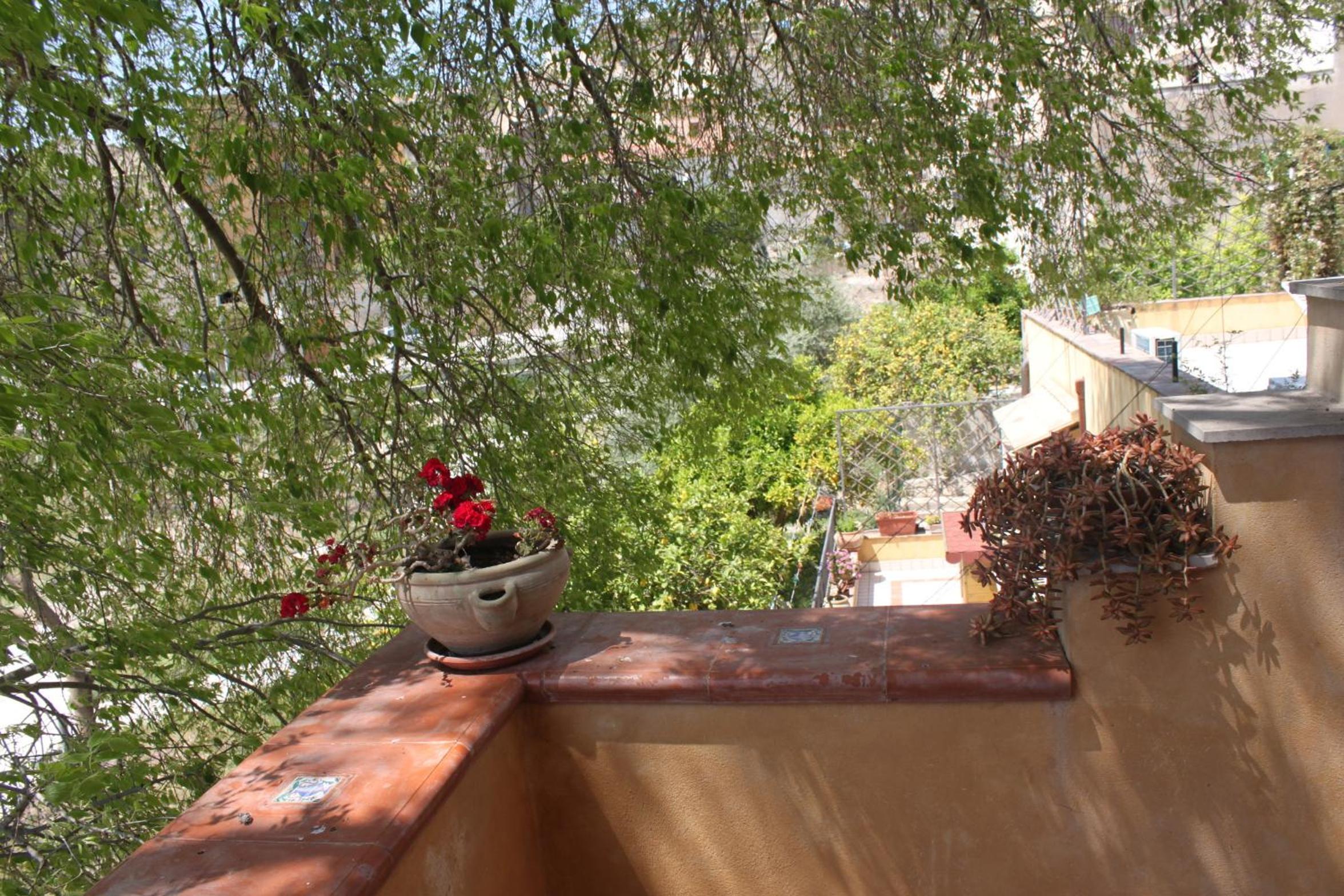 Il Giardino Di Pietra