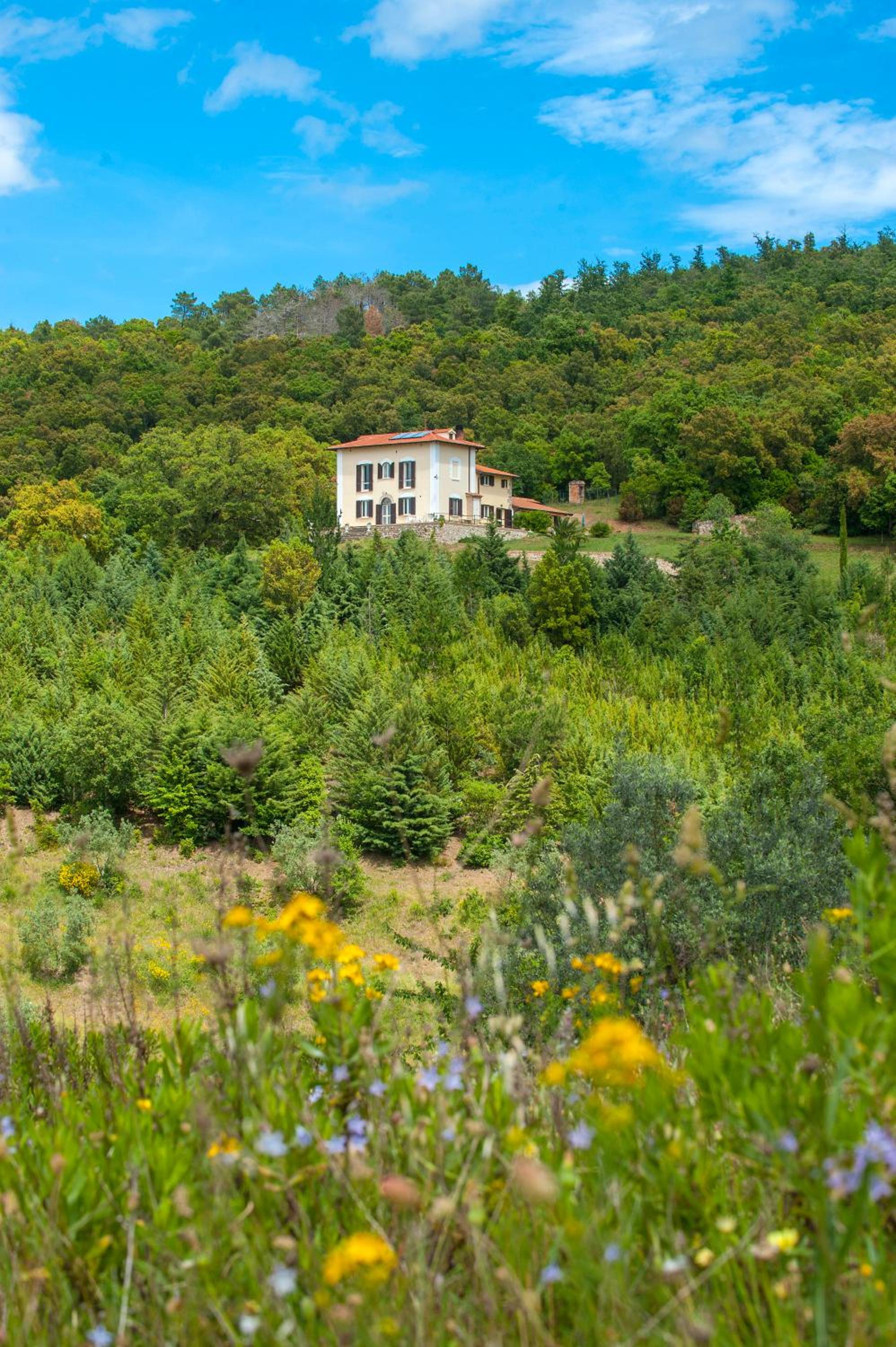 Panorama-Ferien-Toscana Your cozy and fully equipped vacation home view 2