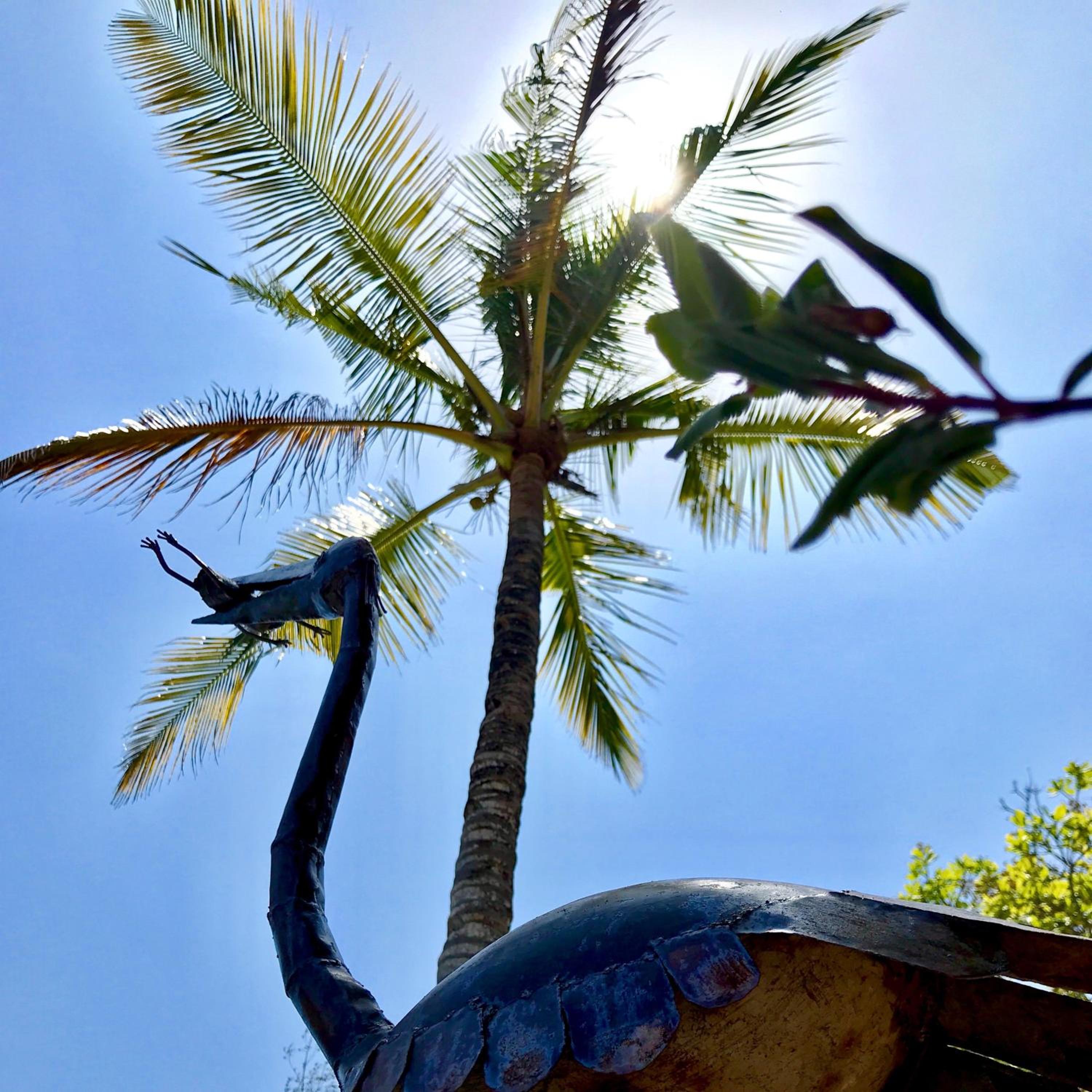 Rock and Sea Resort