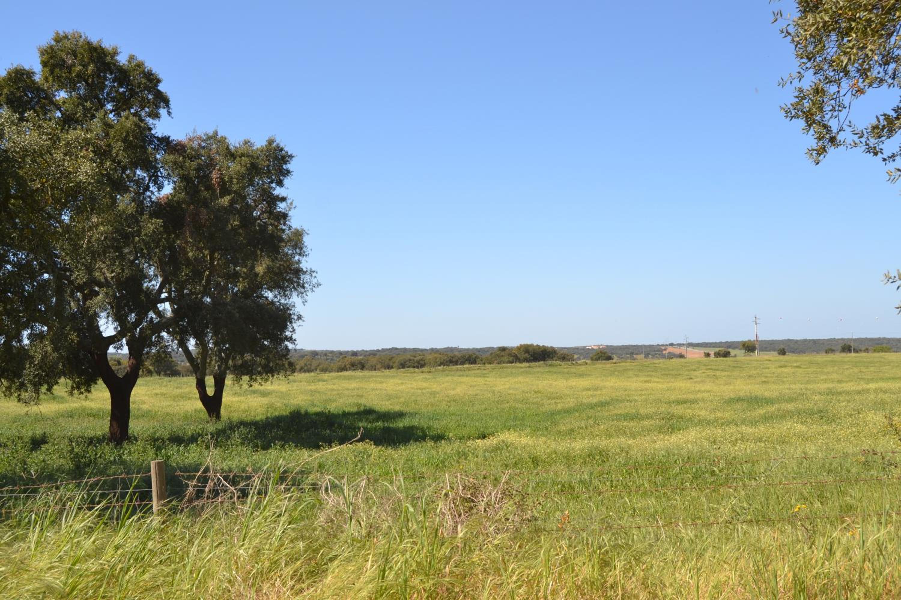 Fazenda do Medronhal view 4