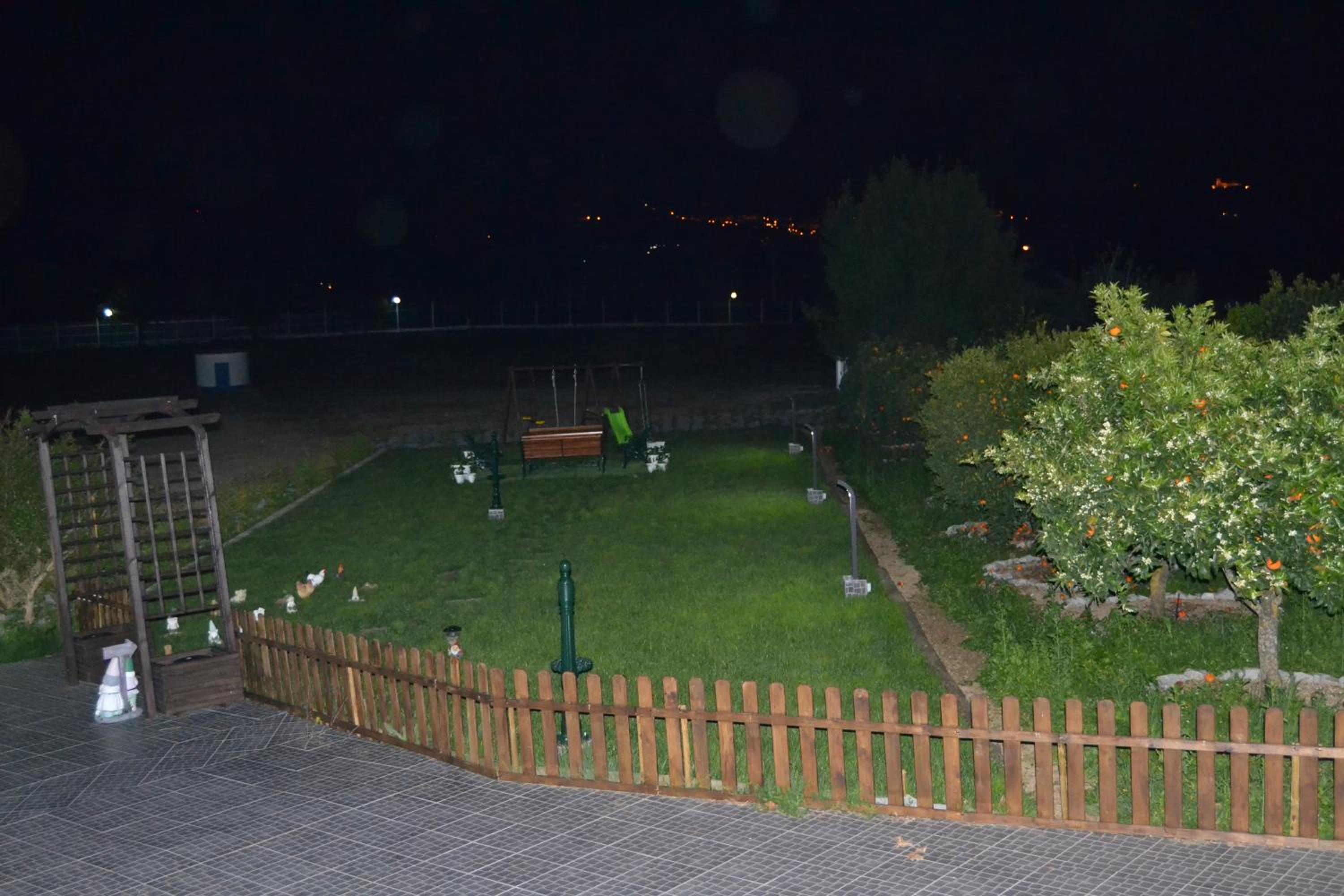 Photo 44