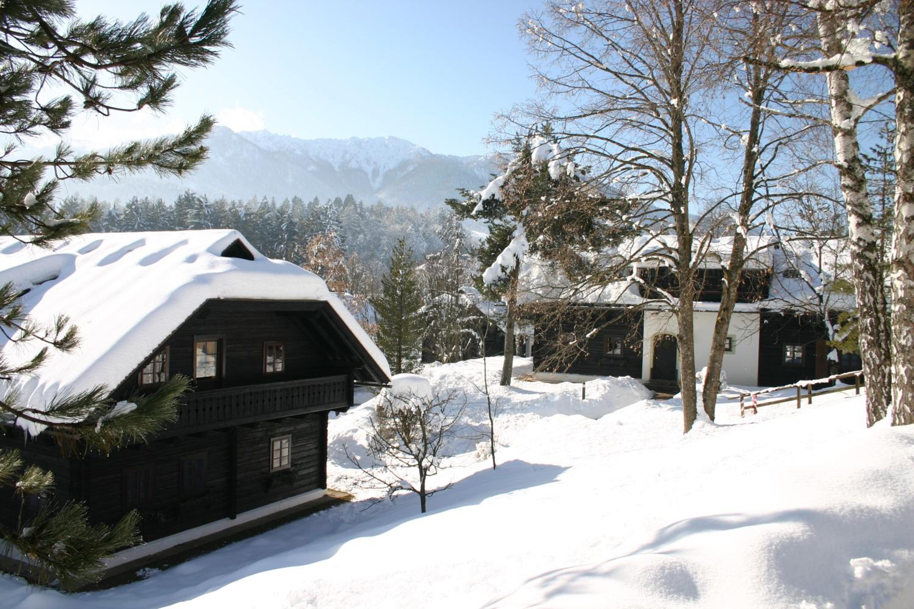 Naturel Hoteldorf Schönleitn