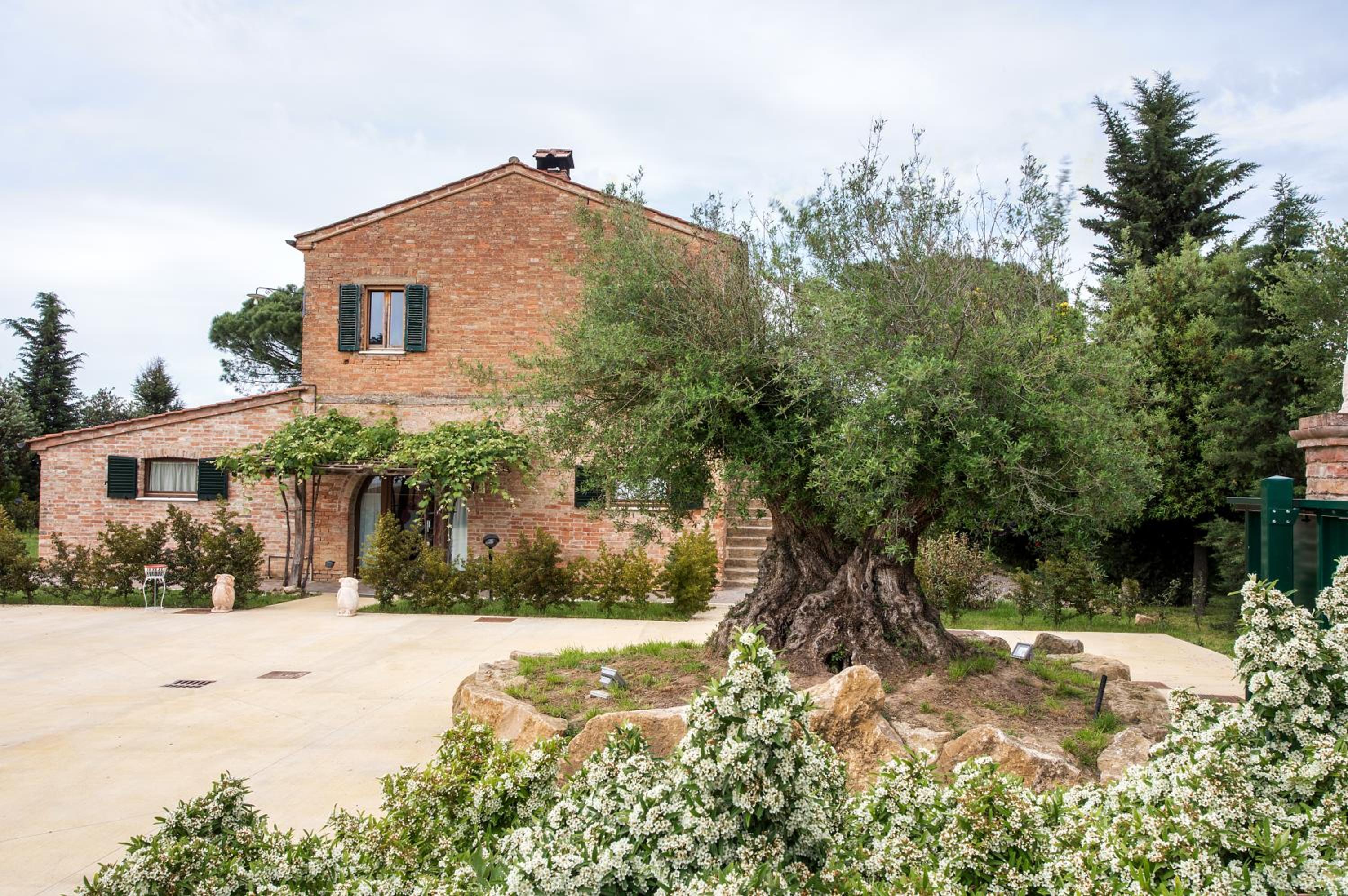 Podere Casanova & Wine Experience - Montepulciano view 3