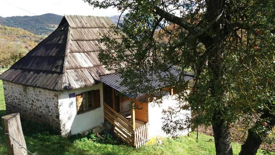 Household Babovic - Old house Miljan's valley view 5