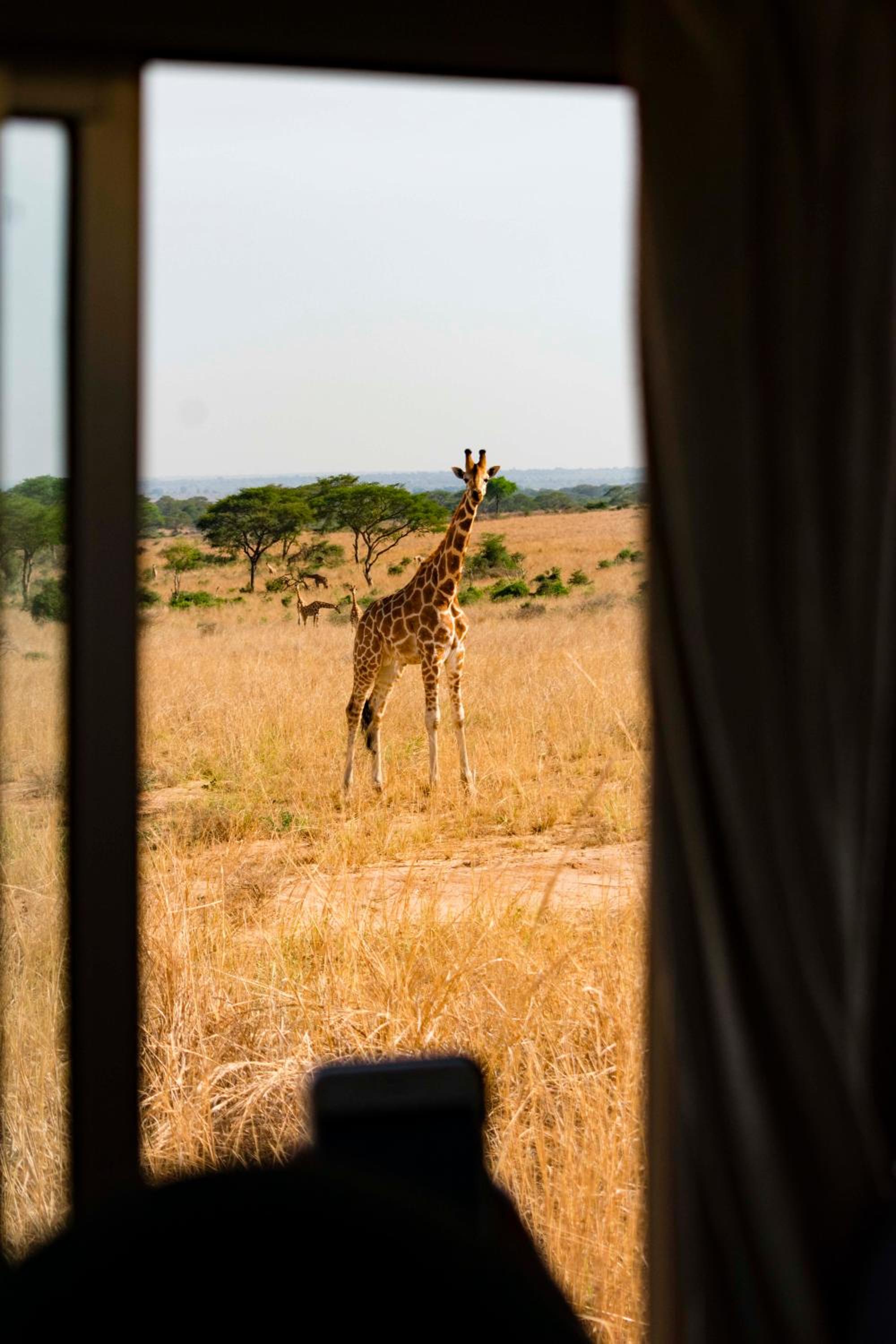 Sambiya River Lodge 23