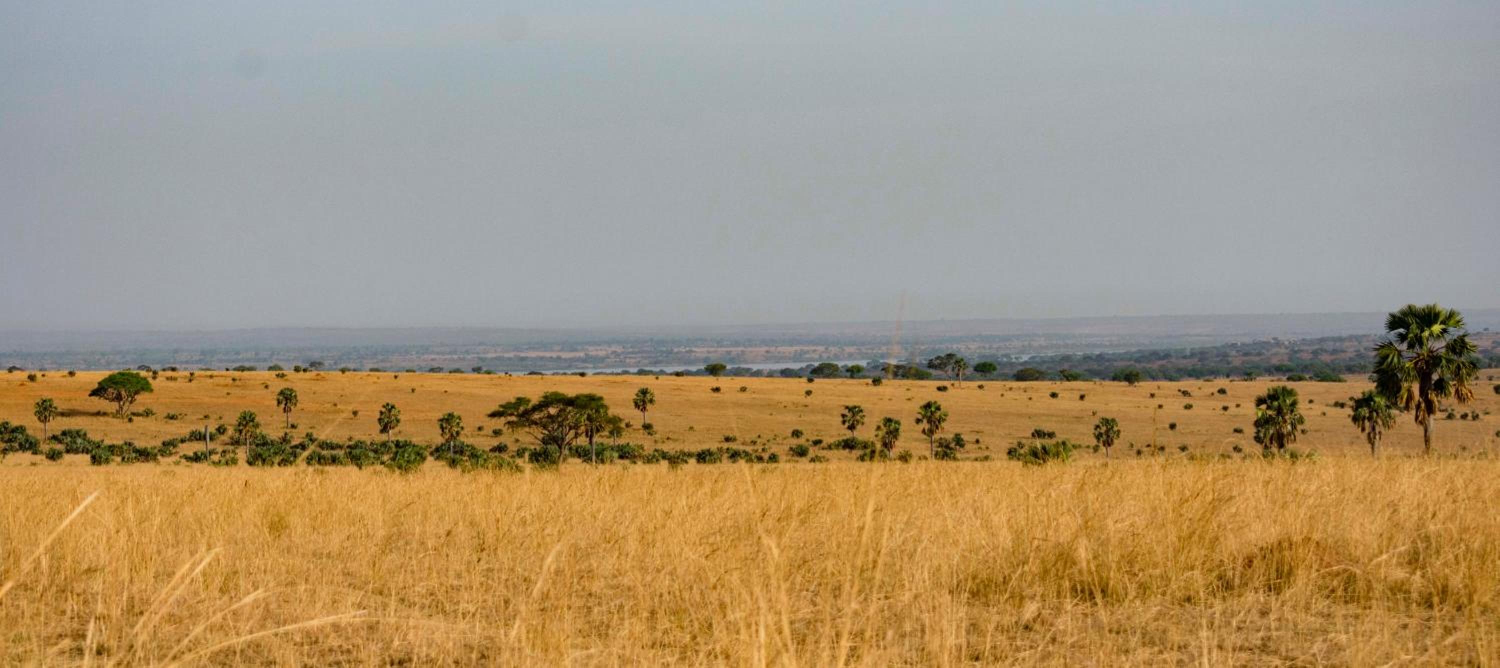 Sambiya River Lodge 40