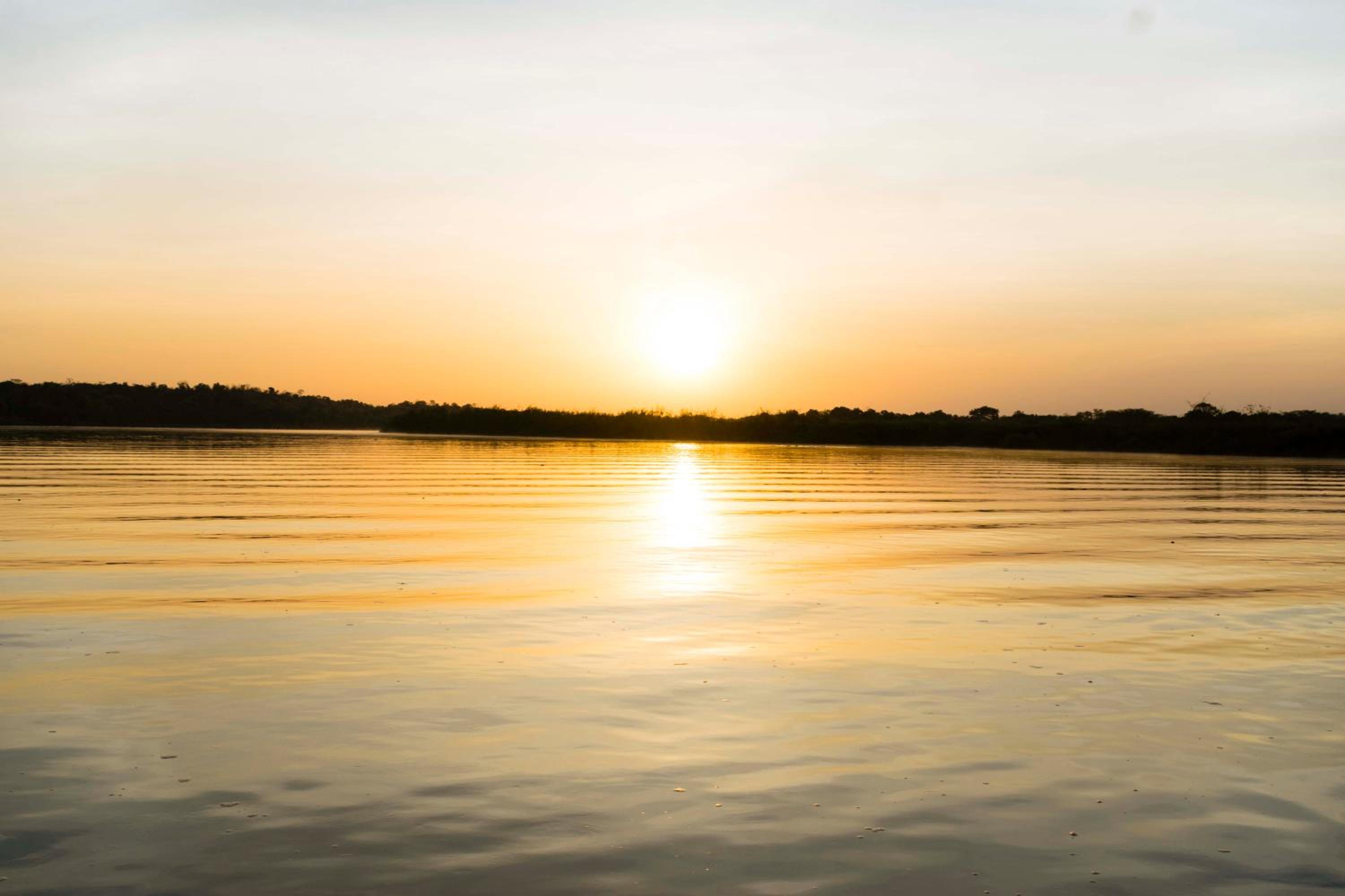 Sambiya River Lodge 19