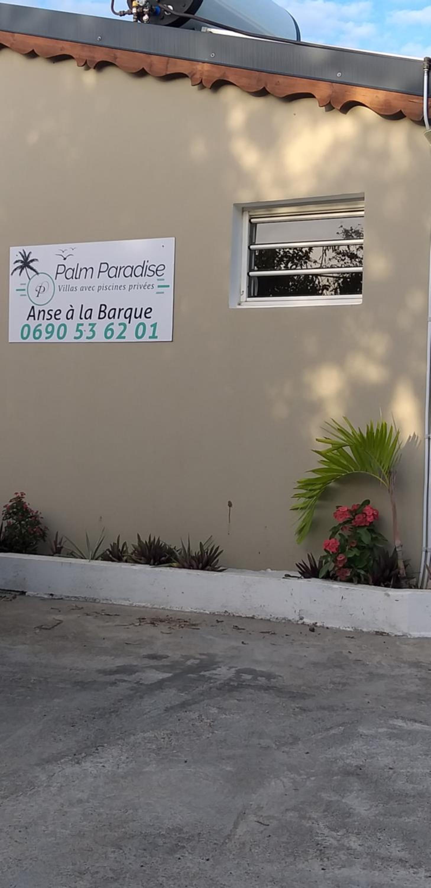 Palm Paradise