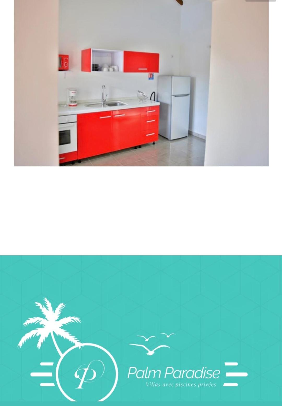 Palm Paradise