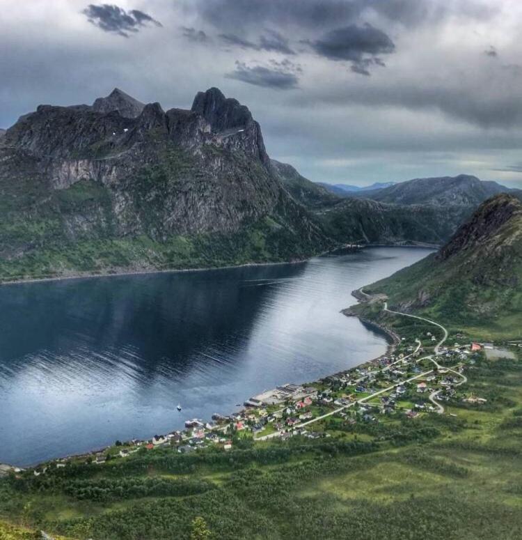 Fjordgård Leilighet A view 4