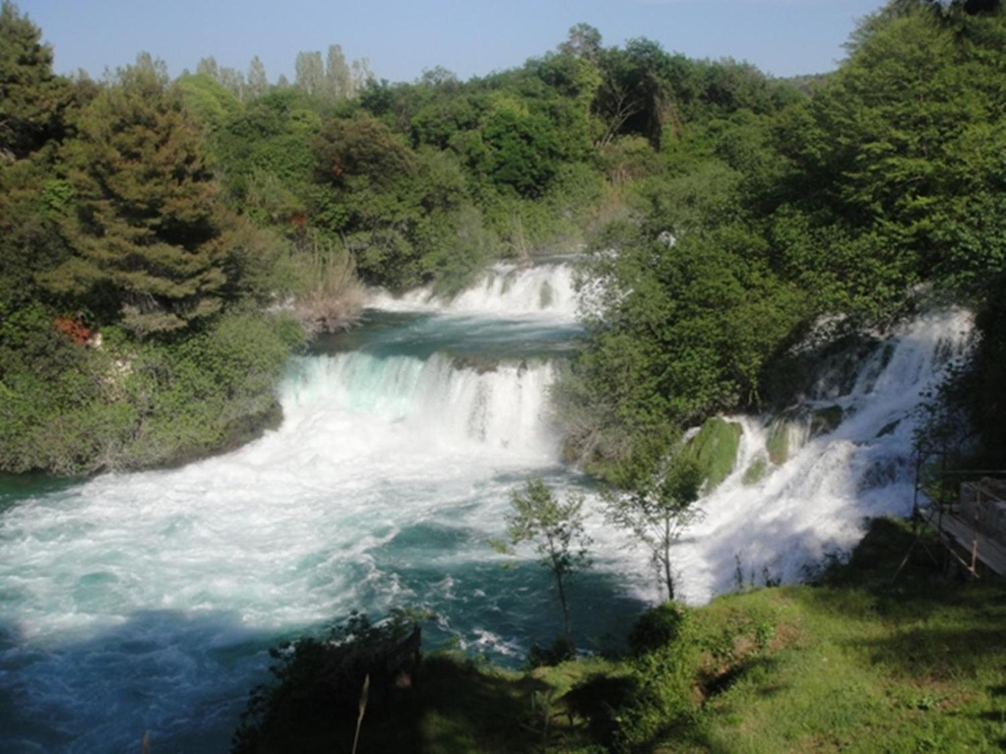 Photo 44