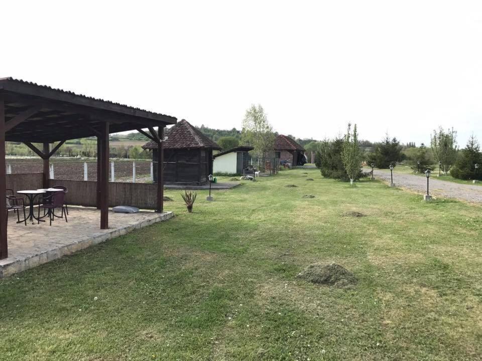 Photo 15