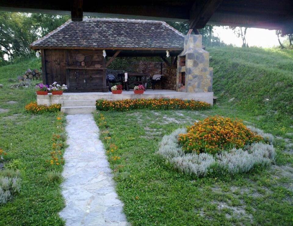 Photo 10