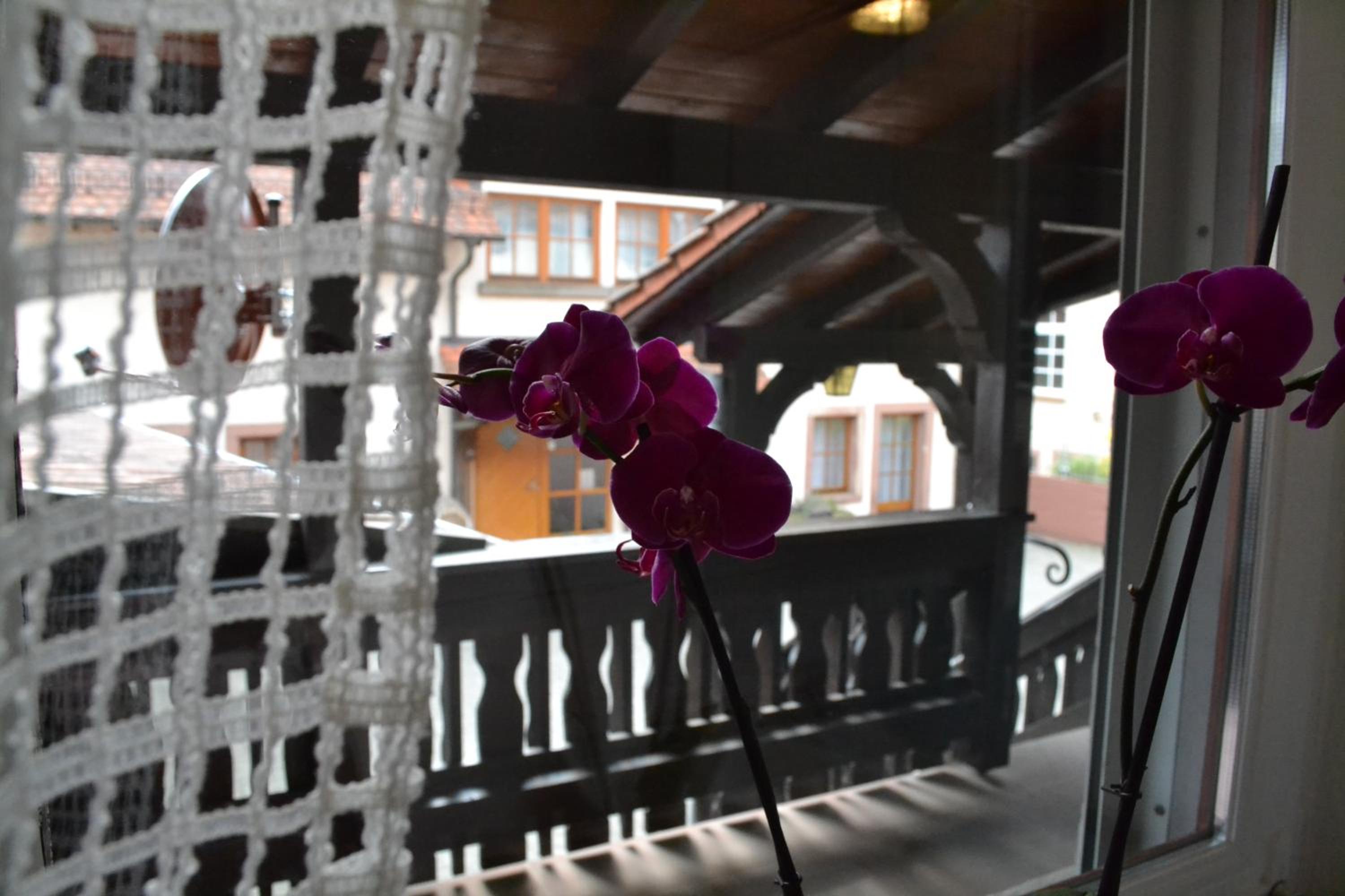 Pension - Gästehaus Zum Pfälzerwald