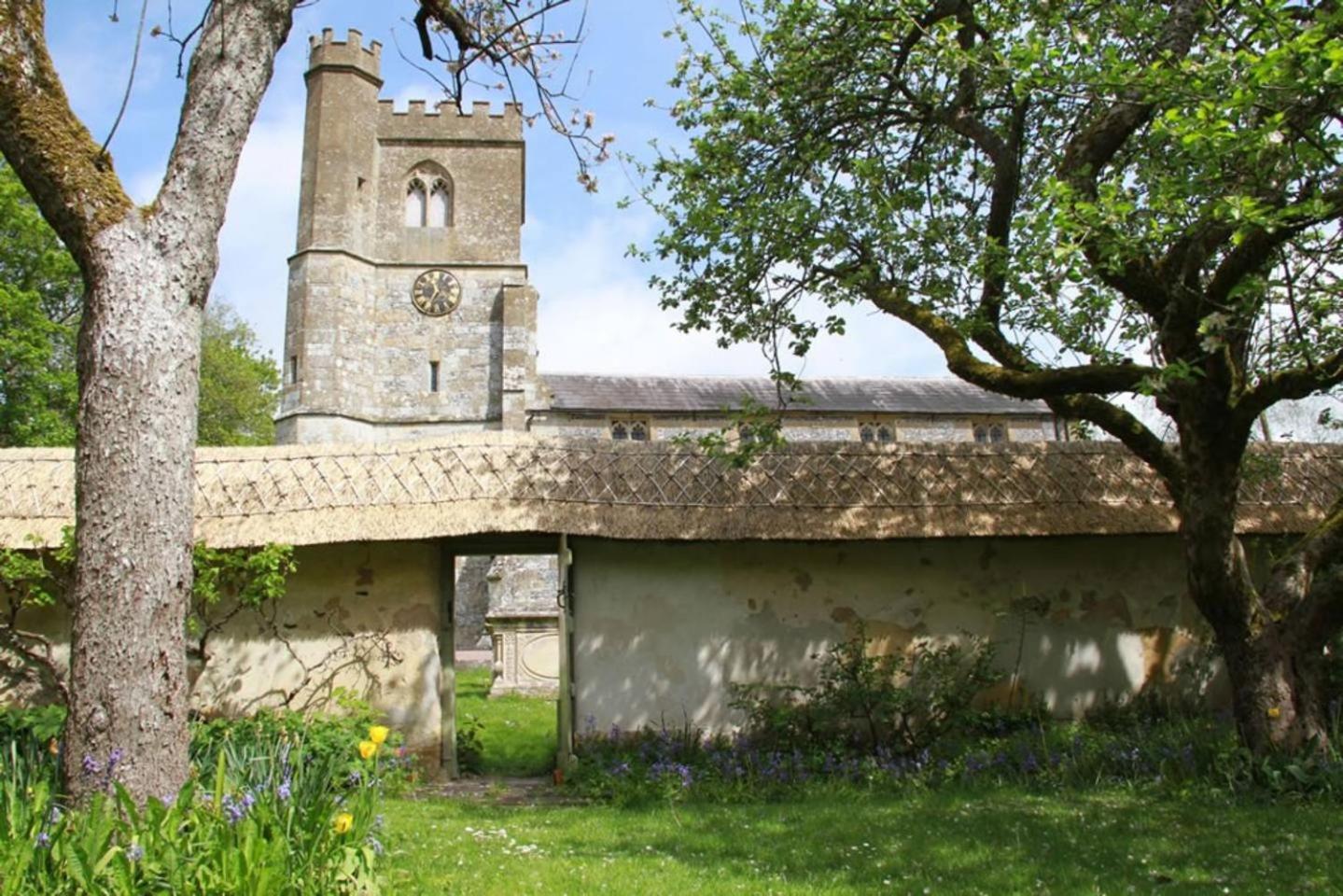 Photo 20