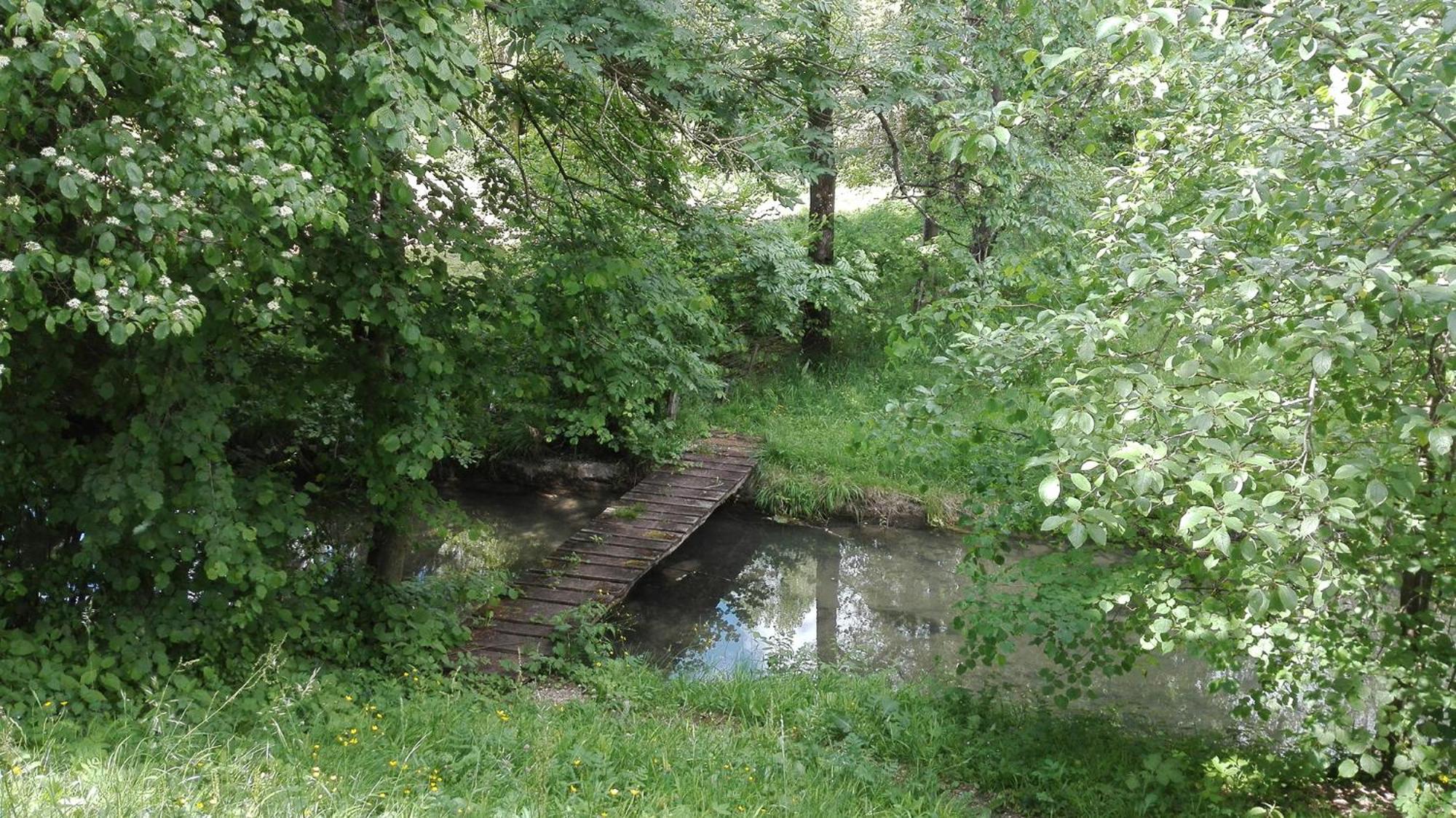 Photo 79
