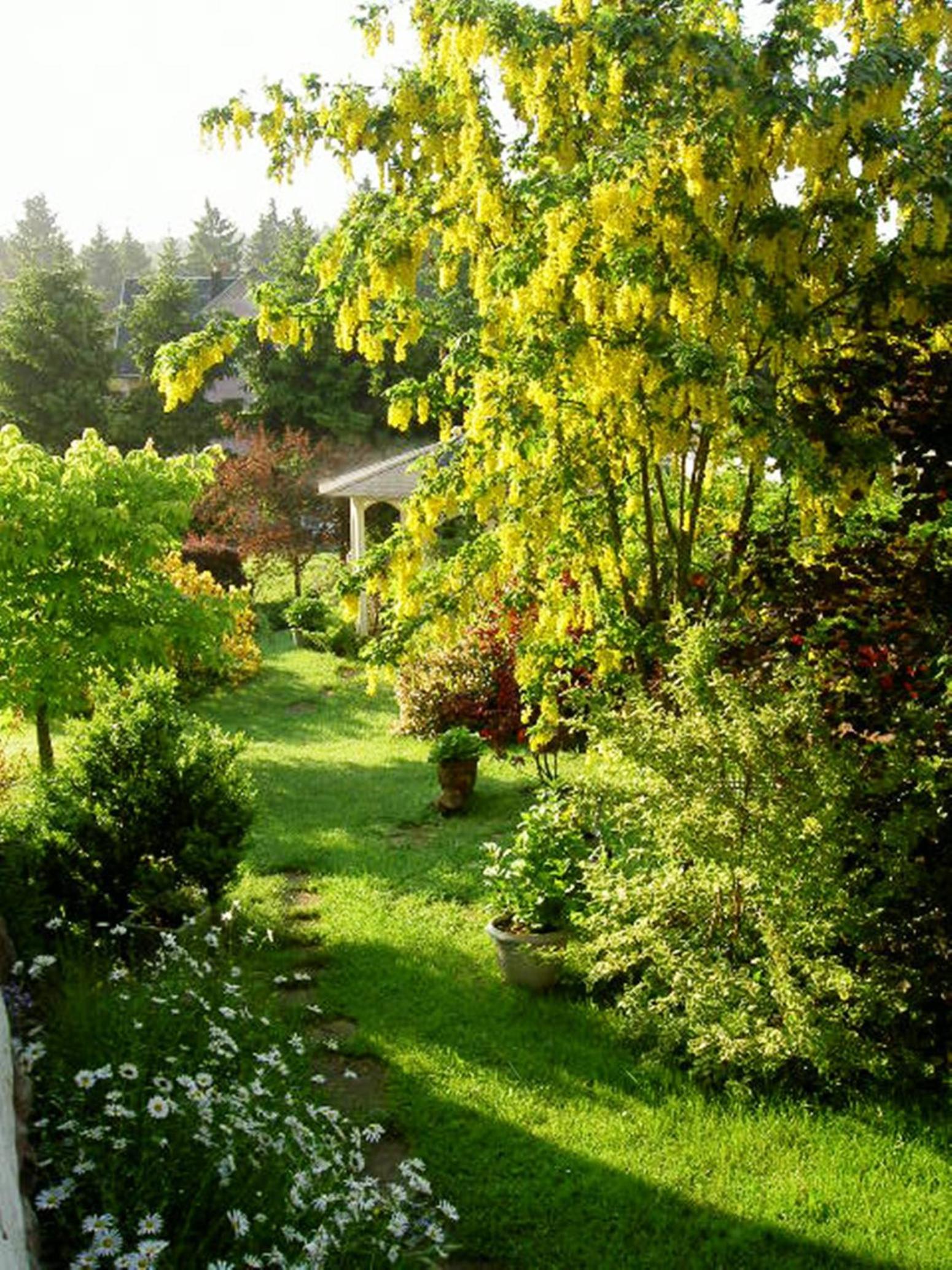 Pension Waldesblick