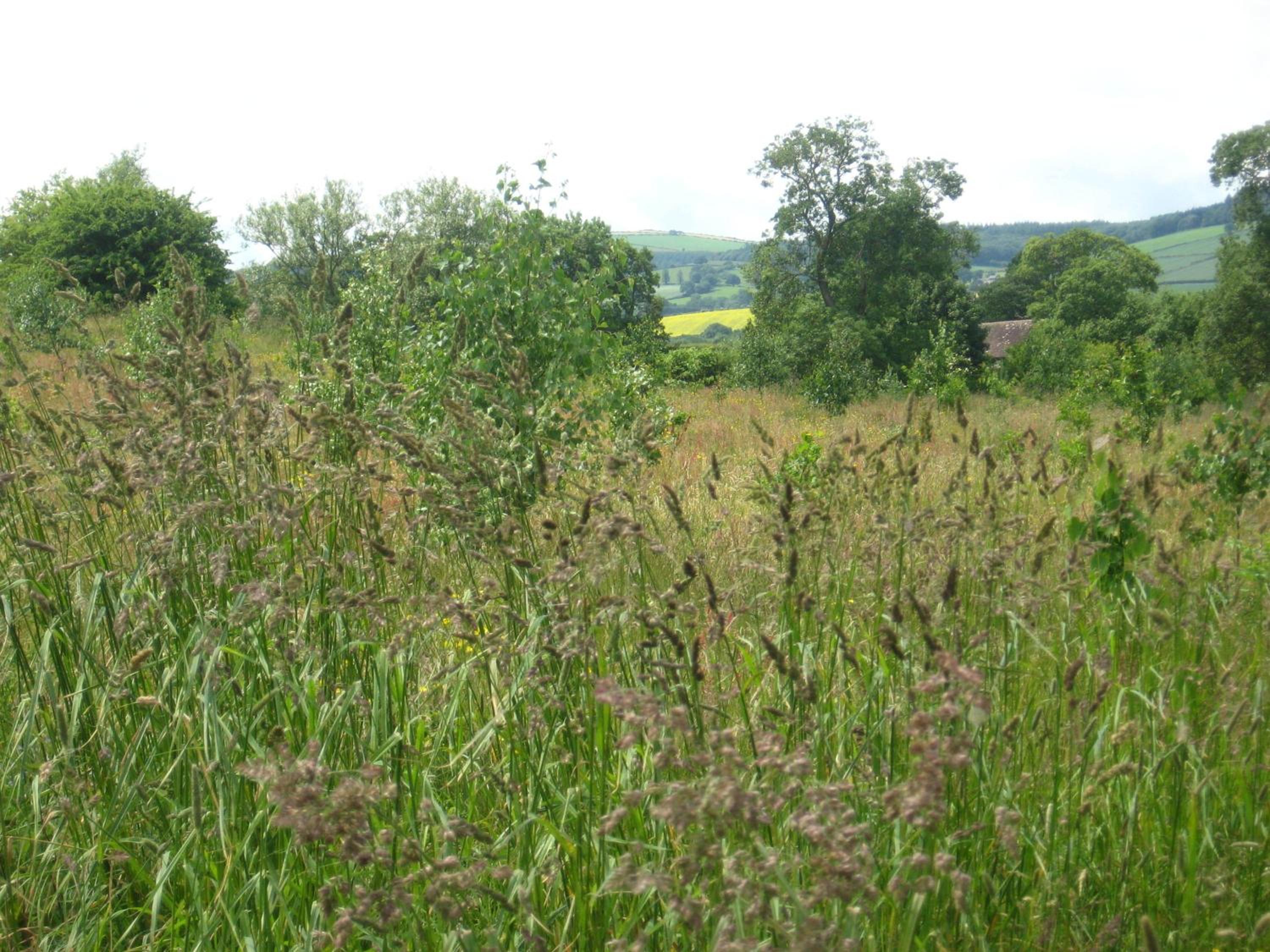 Walford Court