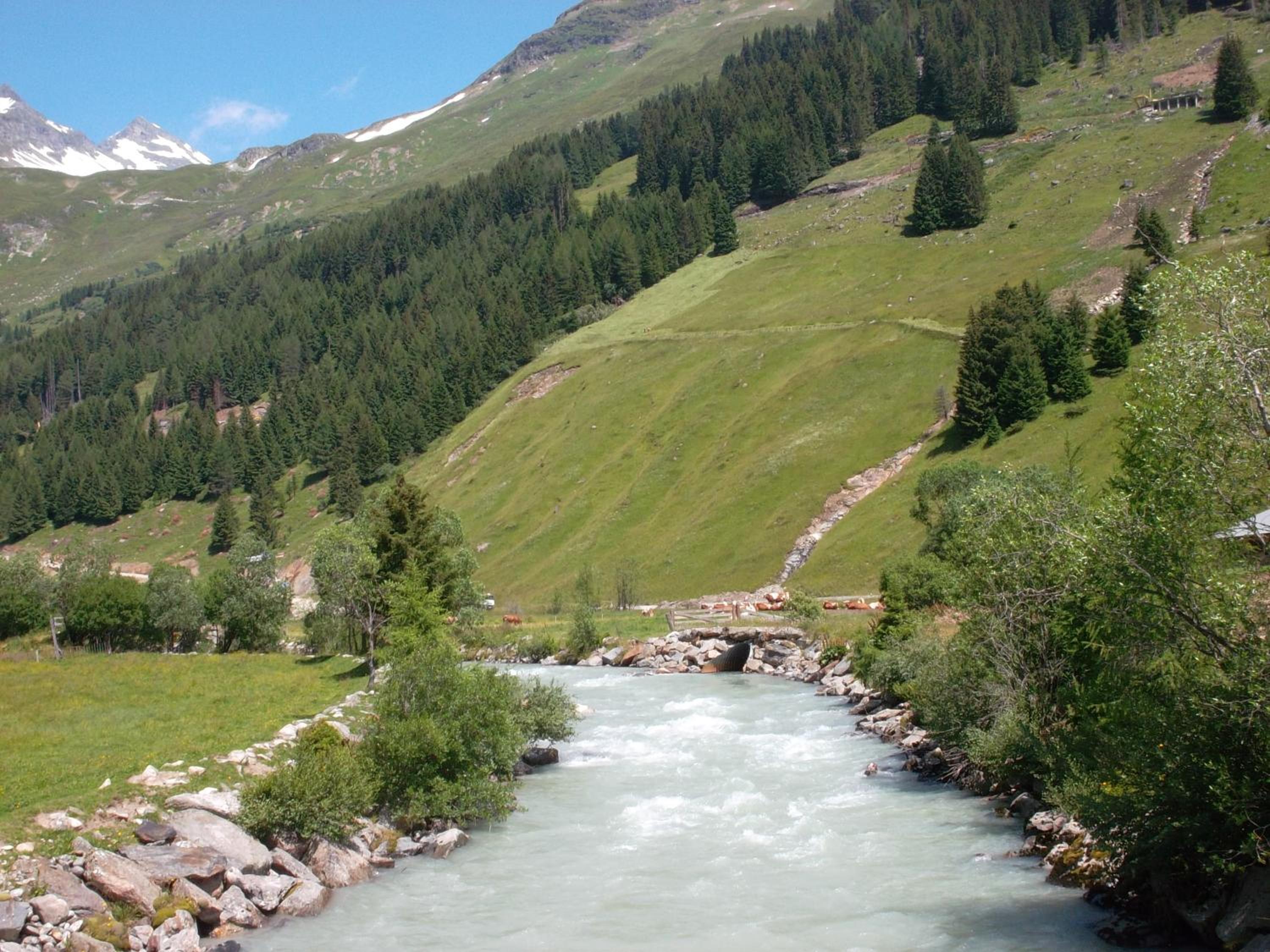 Riepleralm