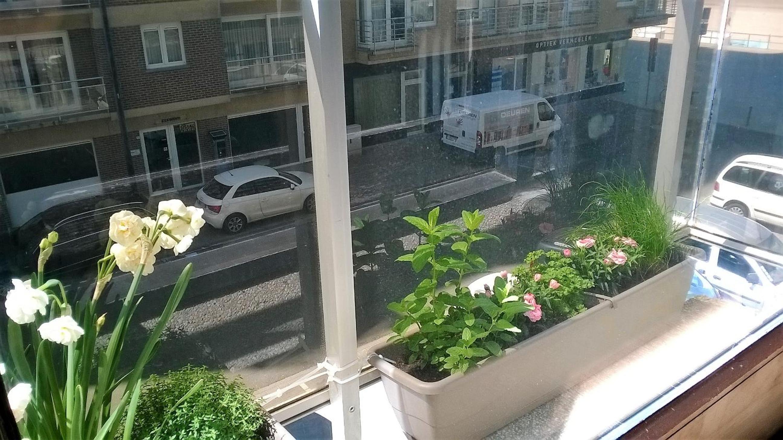 Spacieux Appartement au coin de la plage