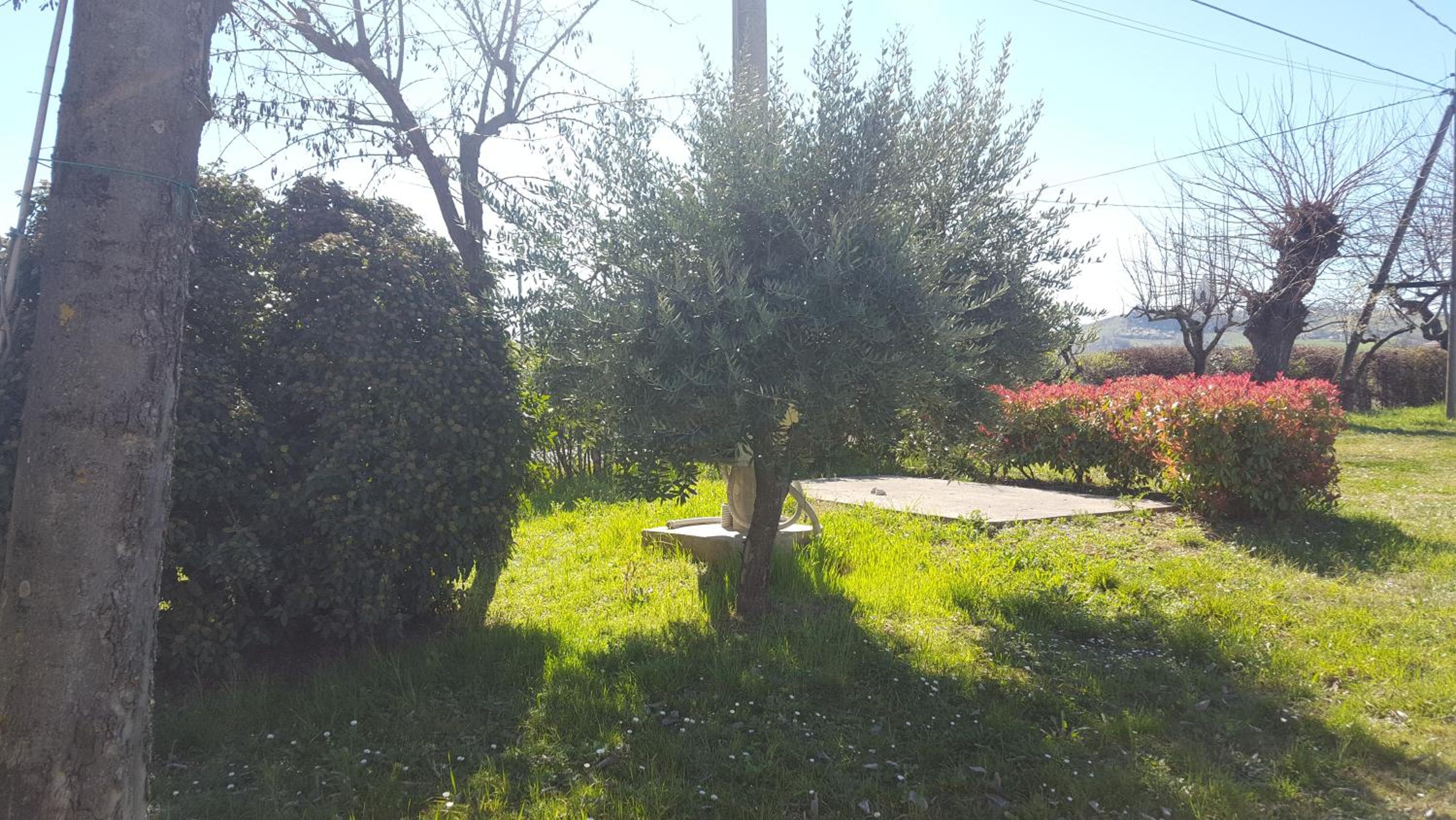 Photo 40