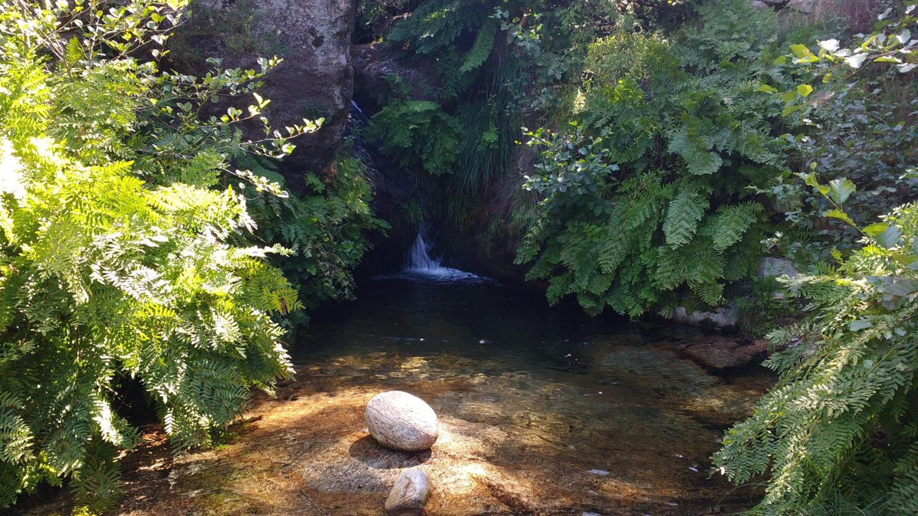 Photo 27
