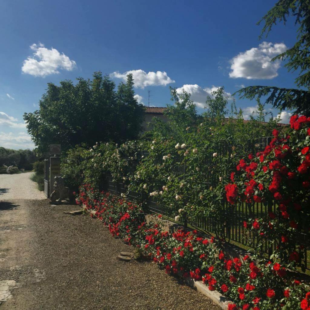 Tenuta La Rosa B&B view 5