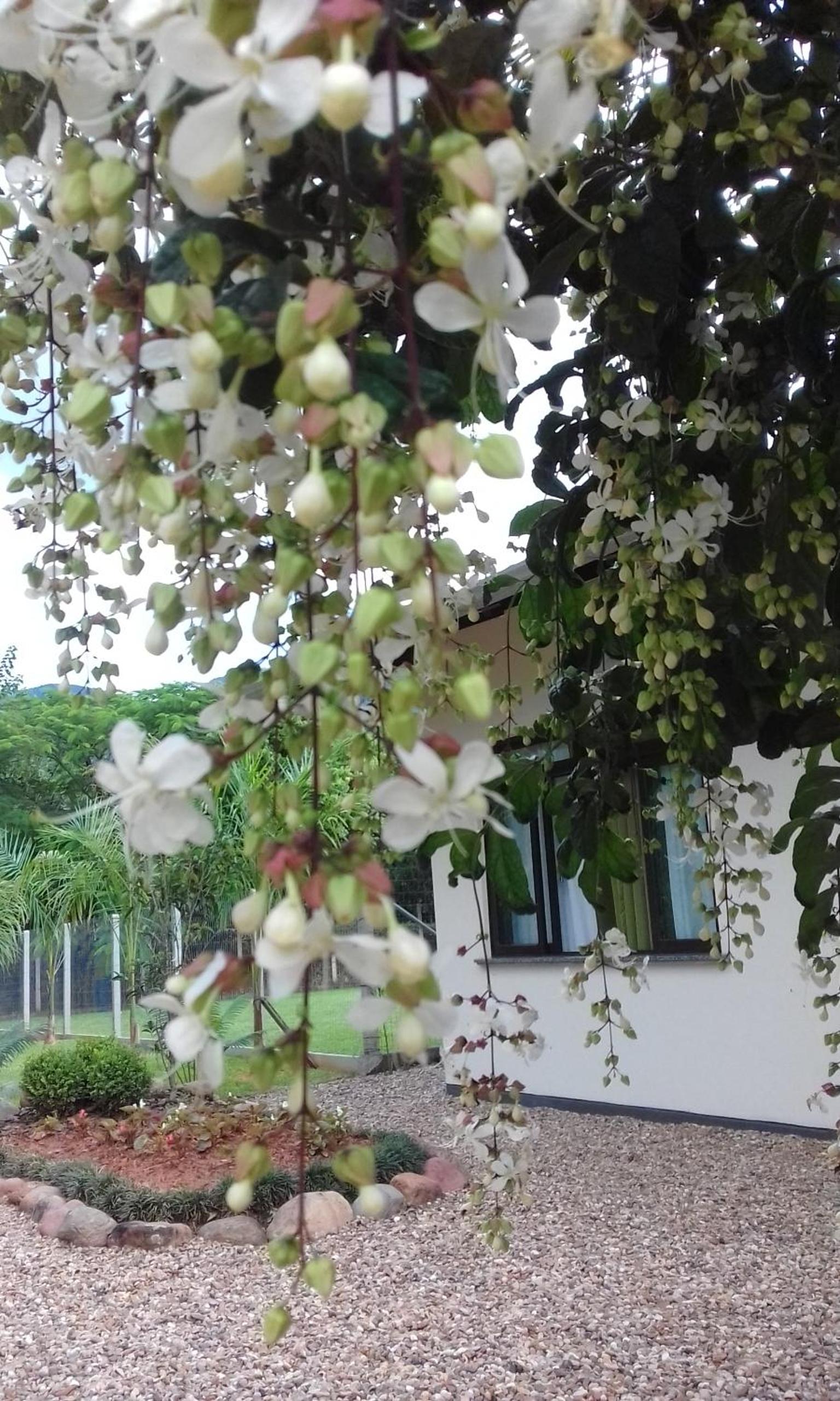Familien Haus Pousada