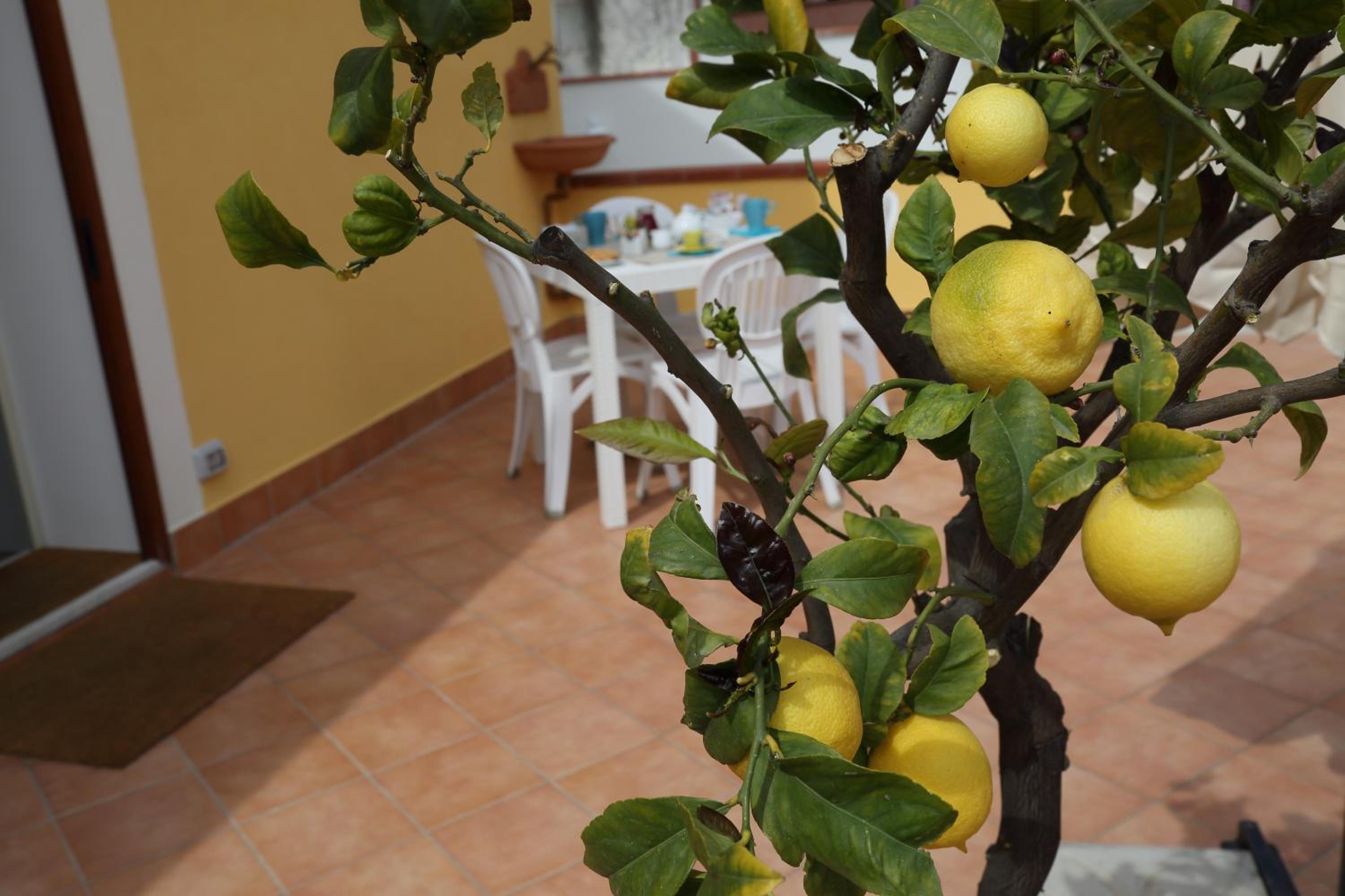 La Cartolina Apartment photo 4