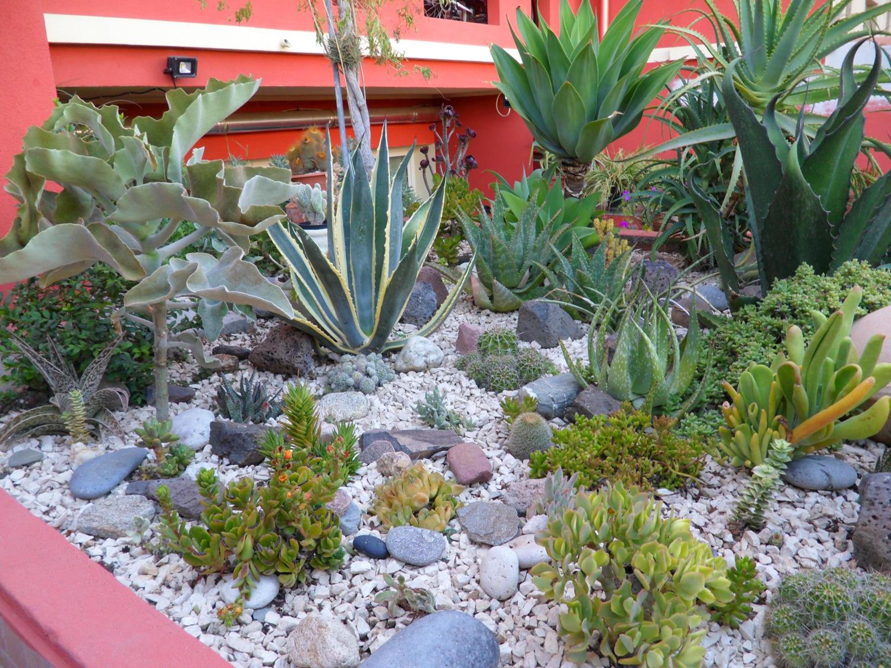 Photo 50