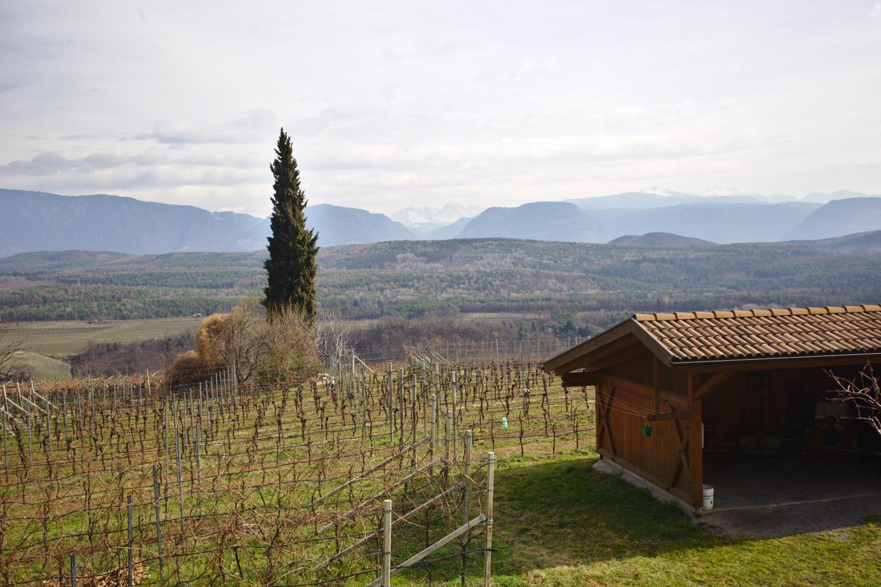 Weingut Hochleiten view 2