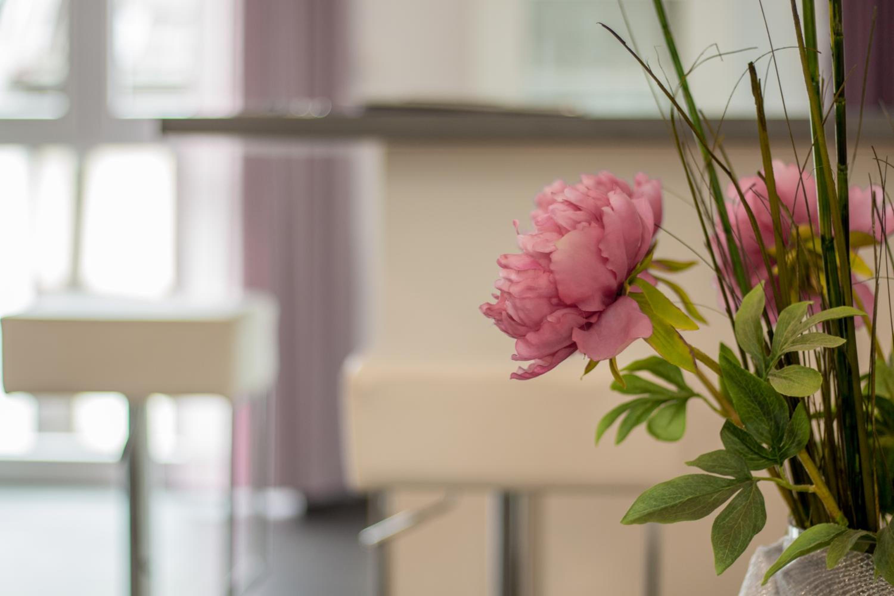 Ferienapartments Am Steinfelder Hof