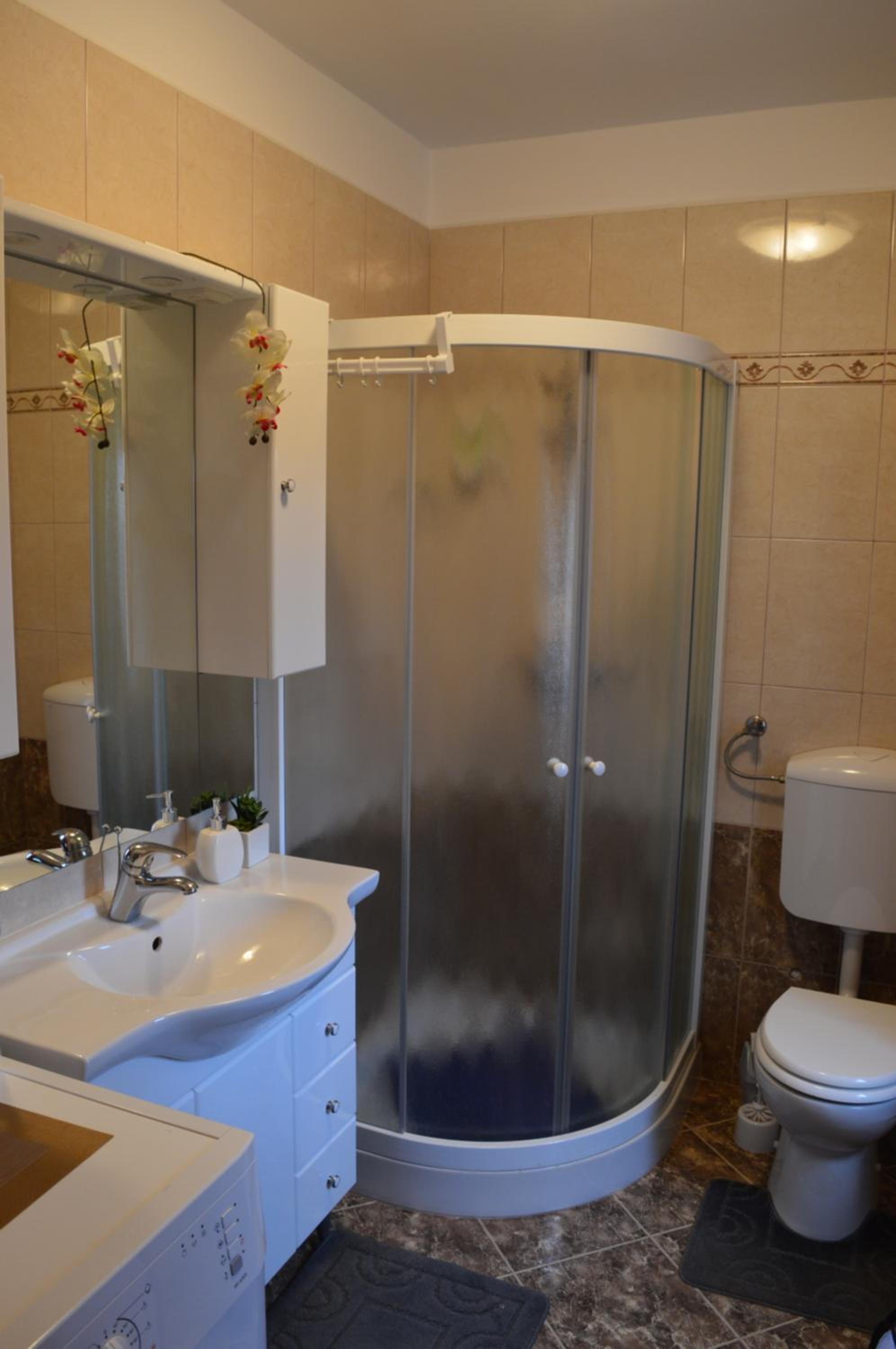 Apartment Milan Istra