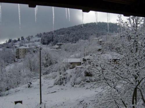 Ersis view 3