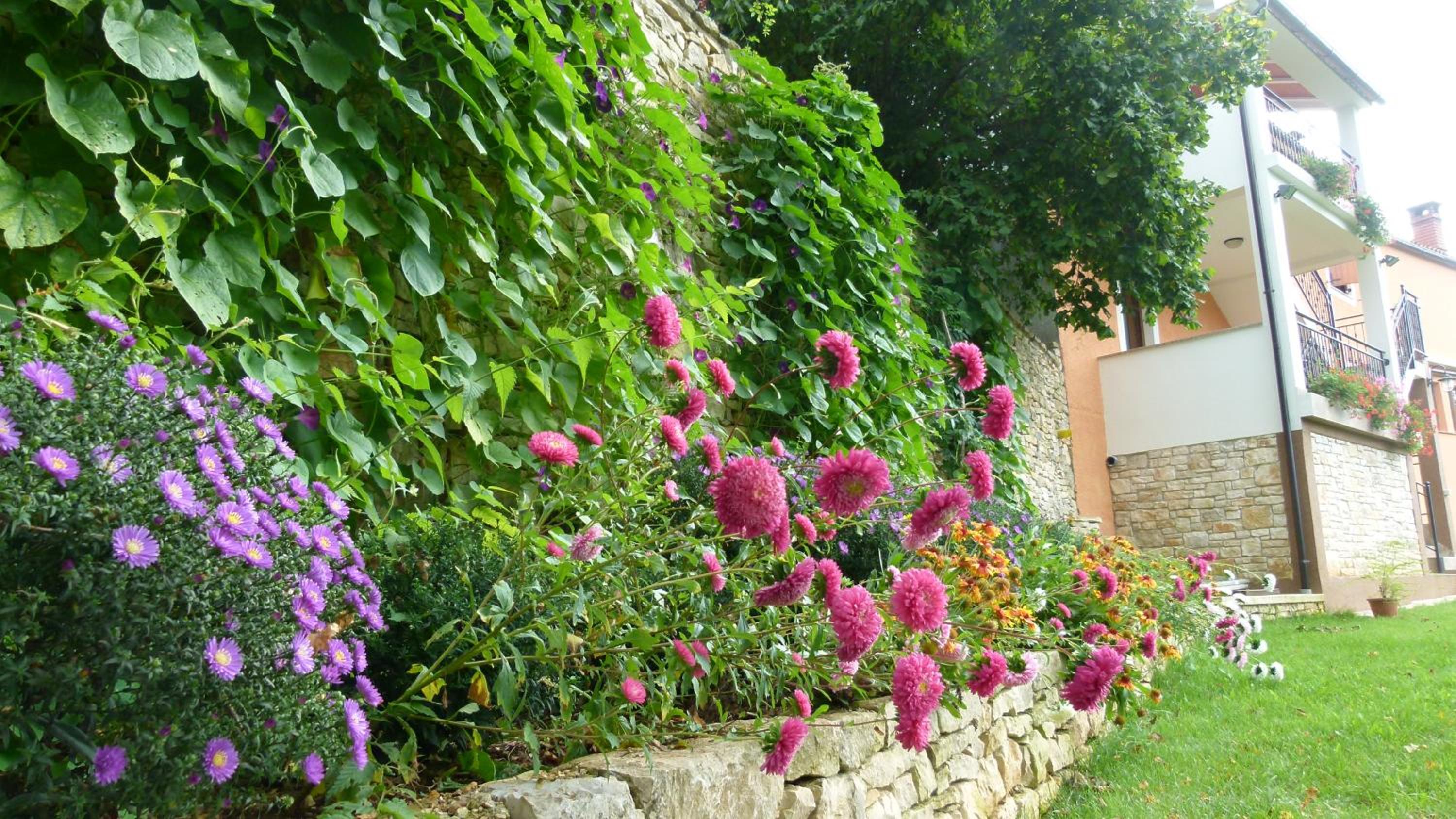 Apartment Milan Istra