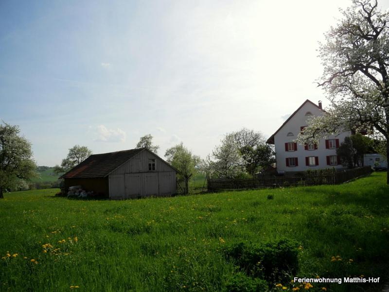Matthis-Hof