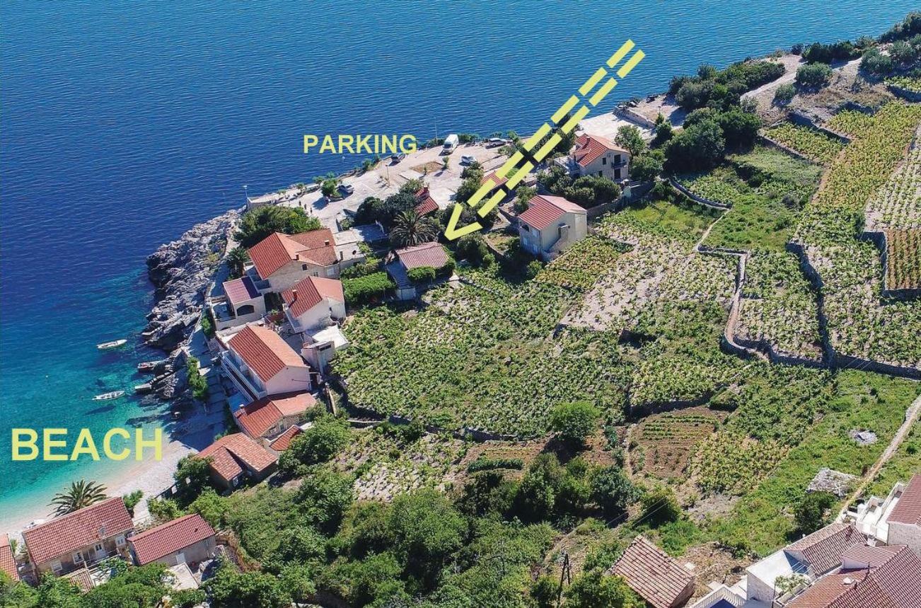 Idyllisches Haus an Weingärten 30 m von Kiesstrand view 3