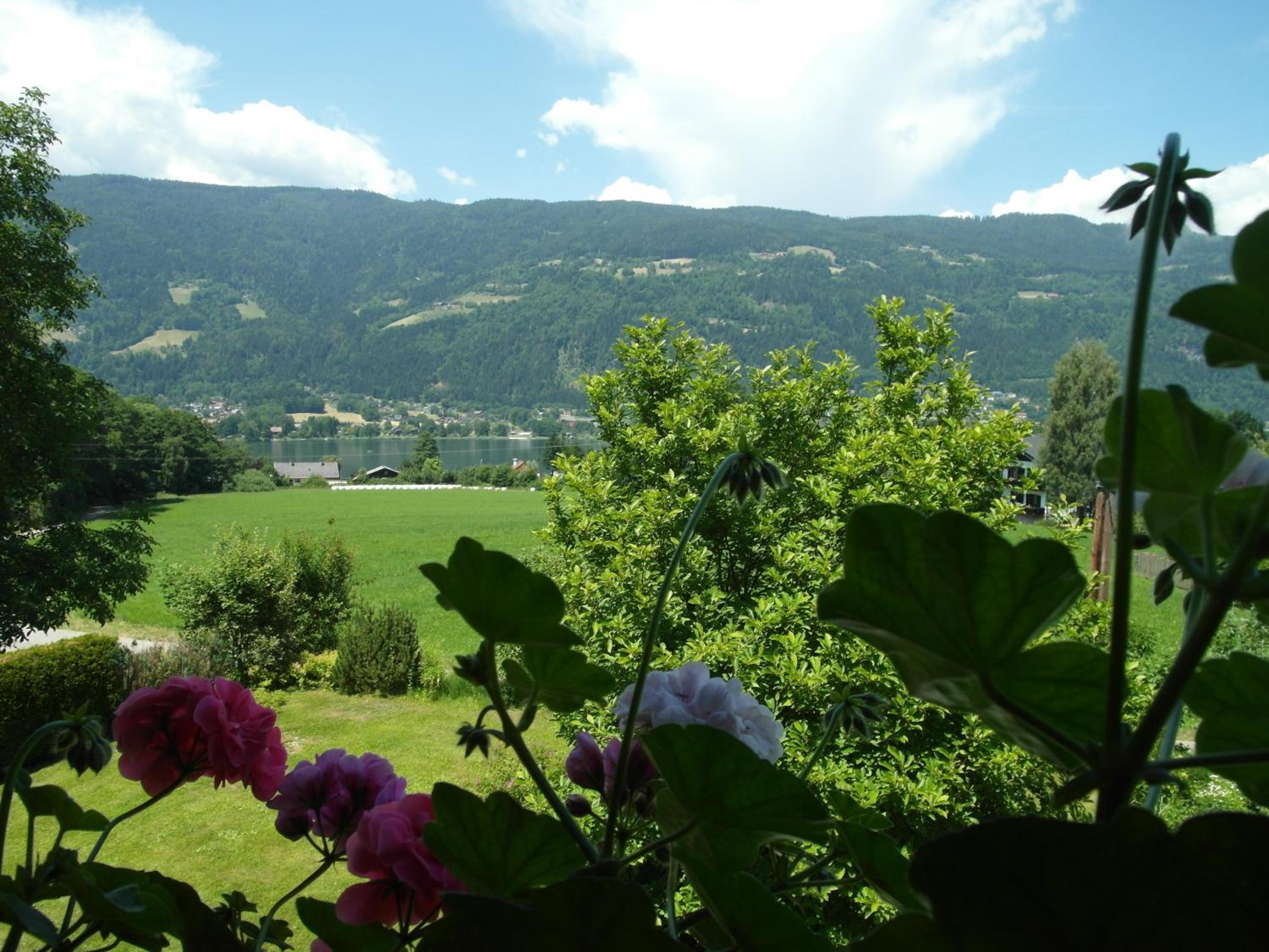 Pension Strauß view 5