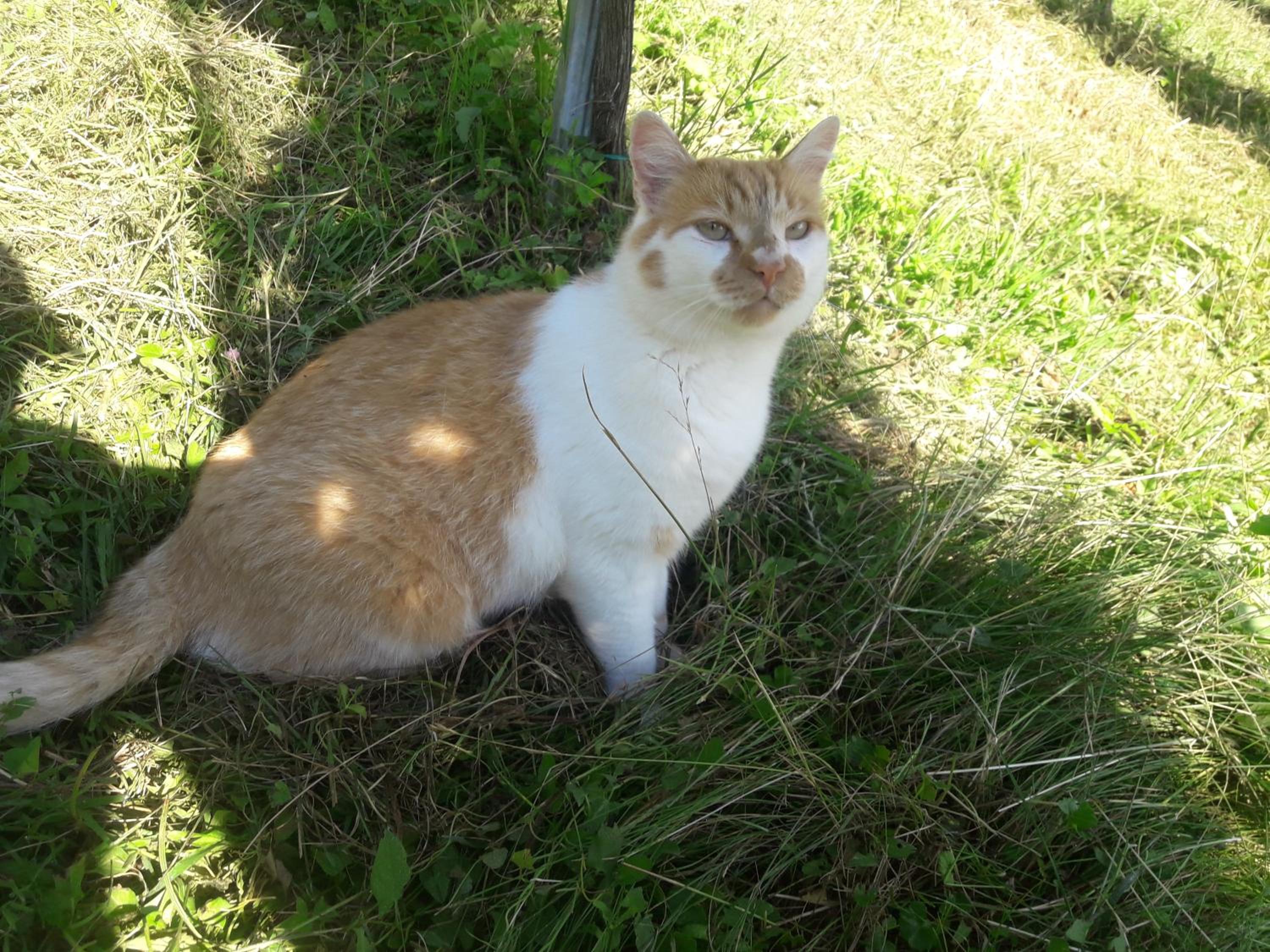 Photo 26