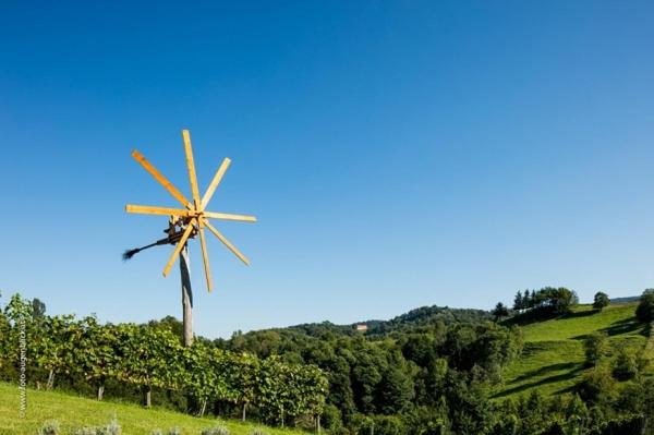 Weingut- Gästezimmer Marko view 2