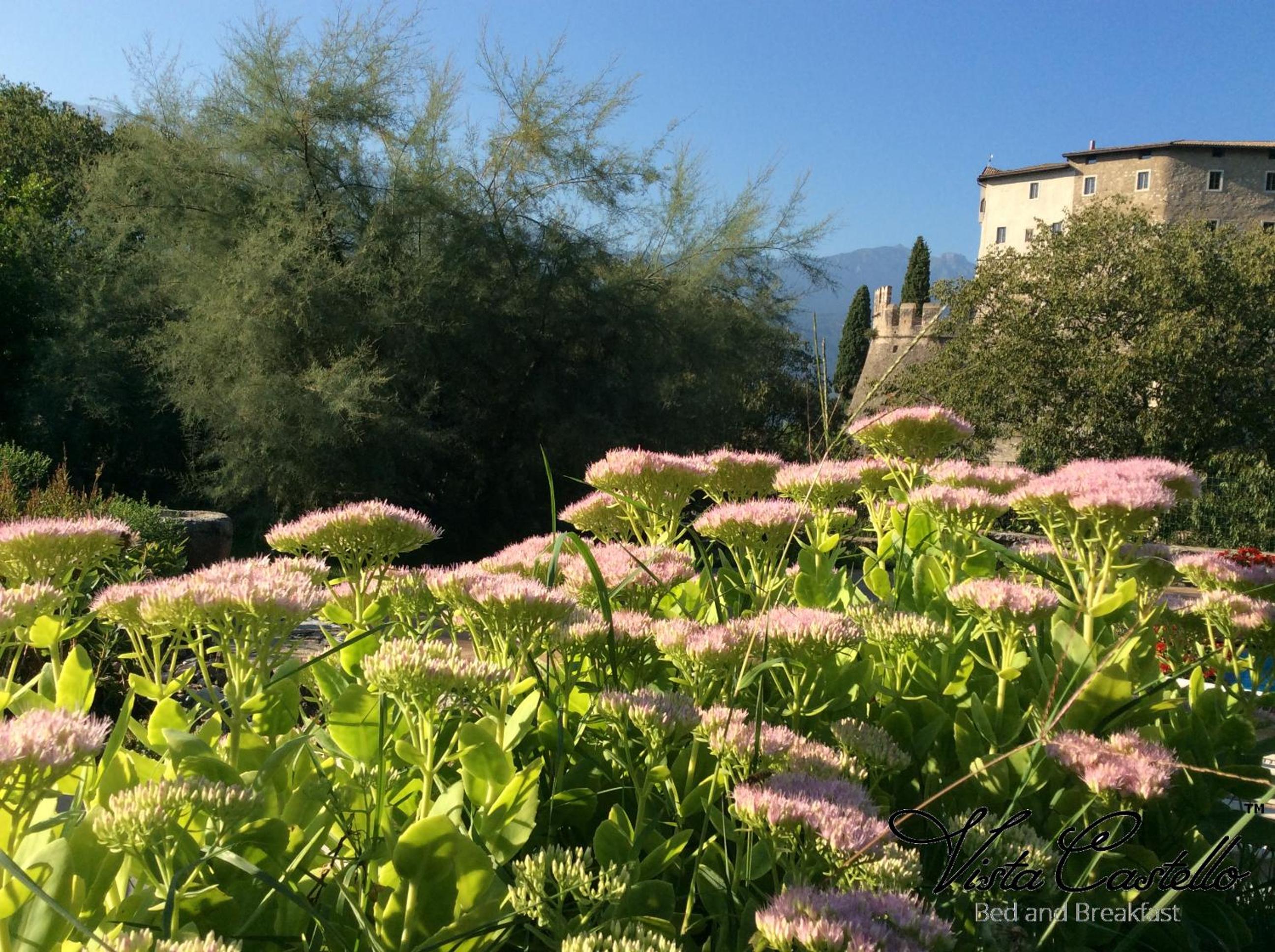 Vista Castello photo 3