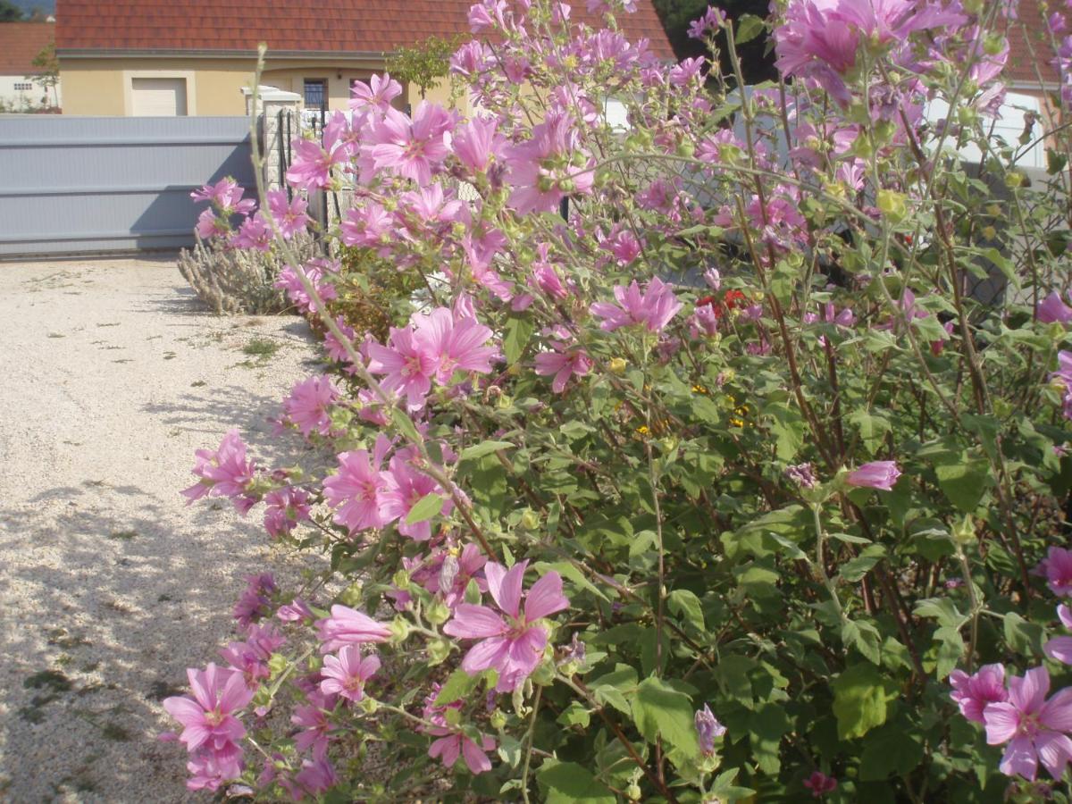 Photo 24