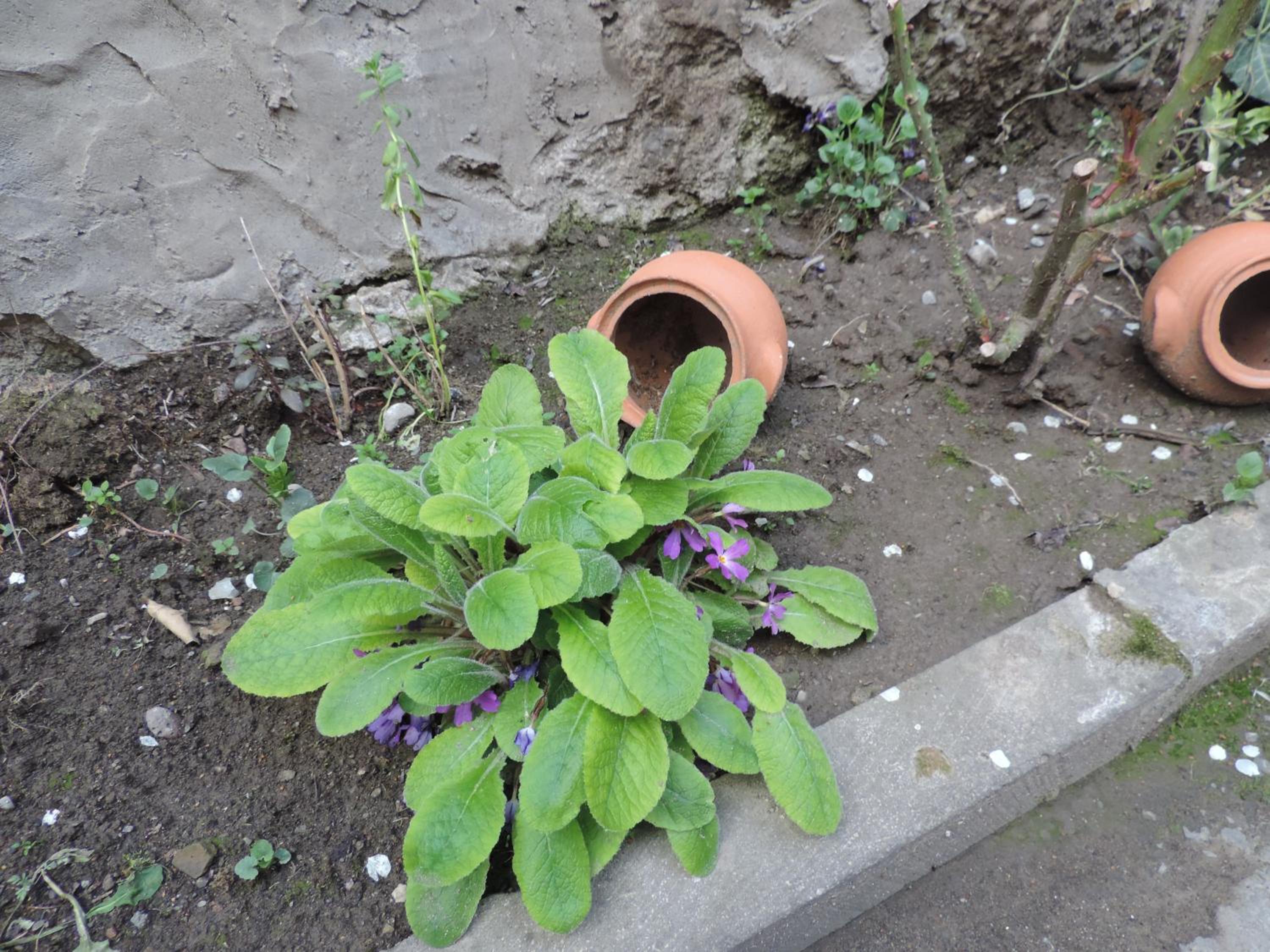 Photo 24
